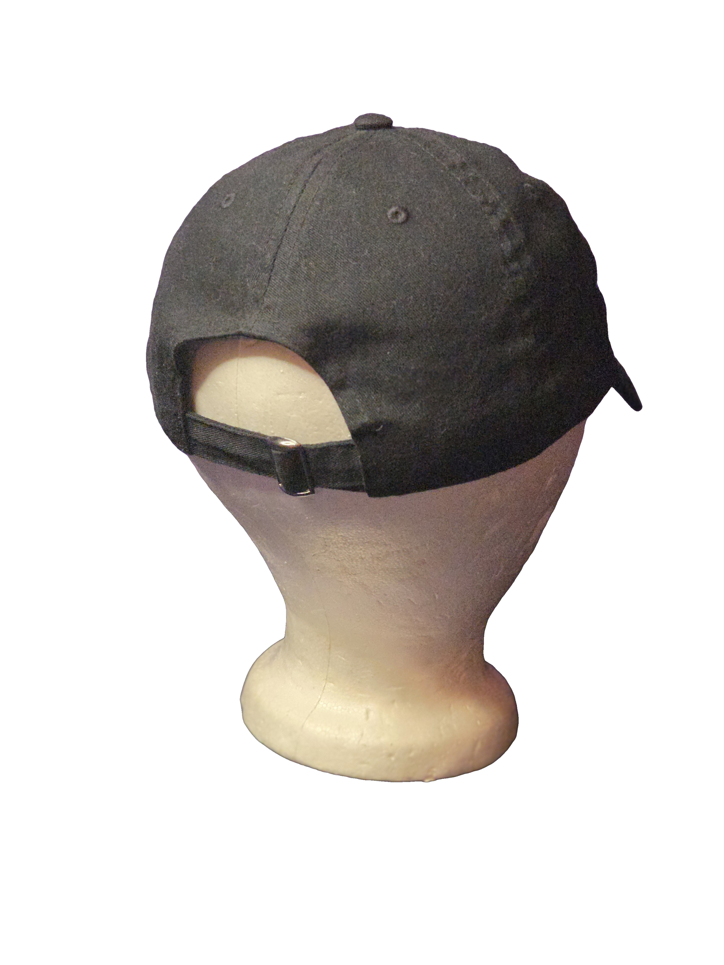 Mission Systems hat back.png