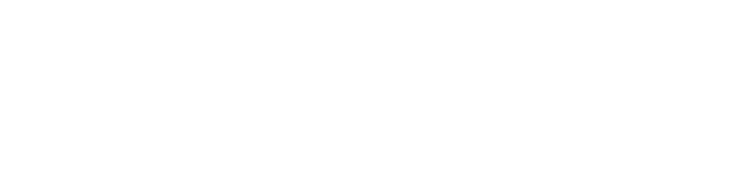 Mission Systems
