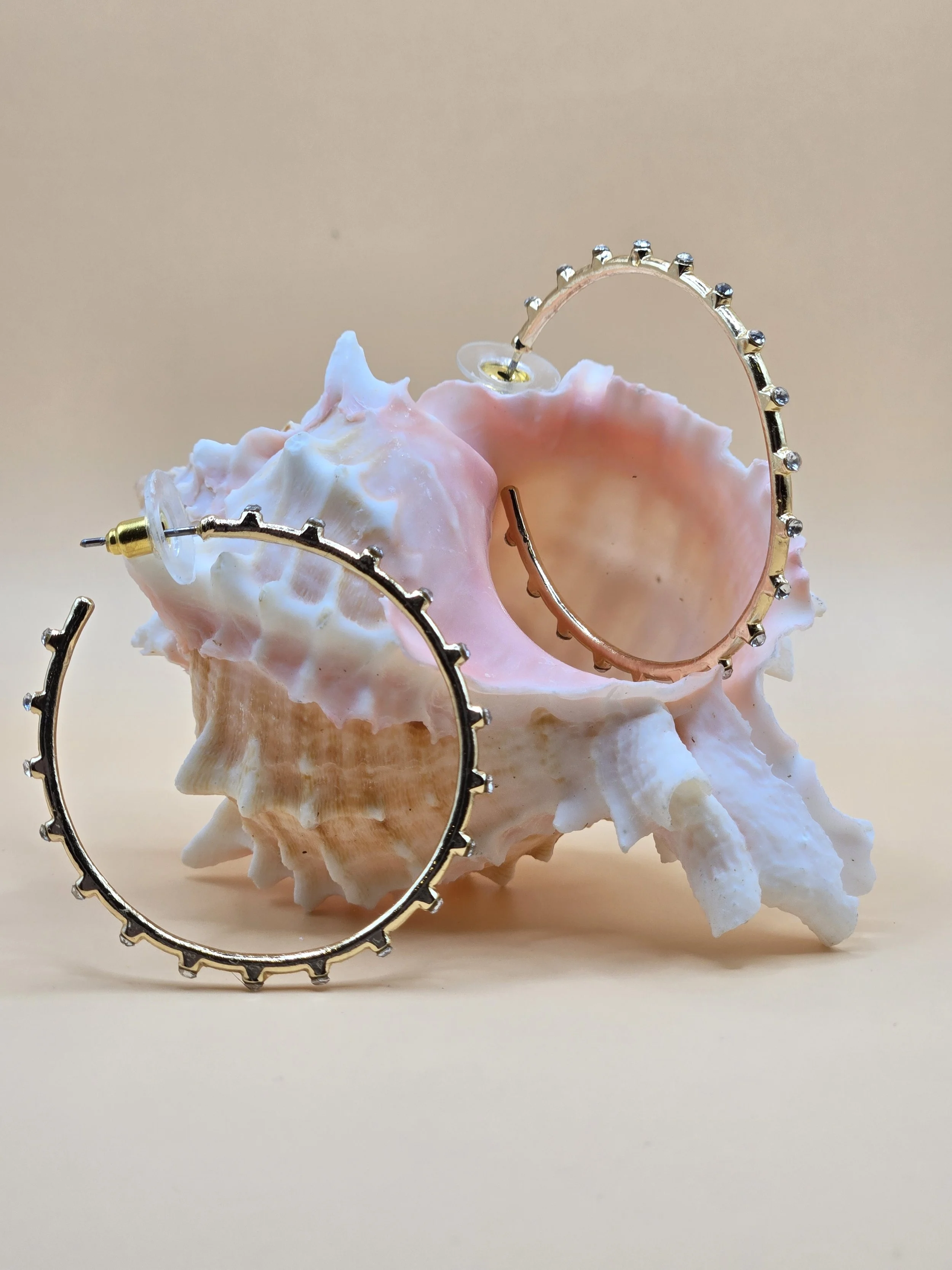 Delicate Studded Hoops