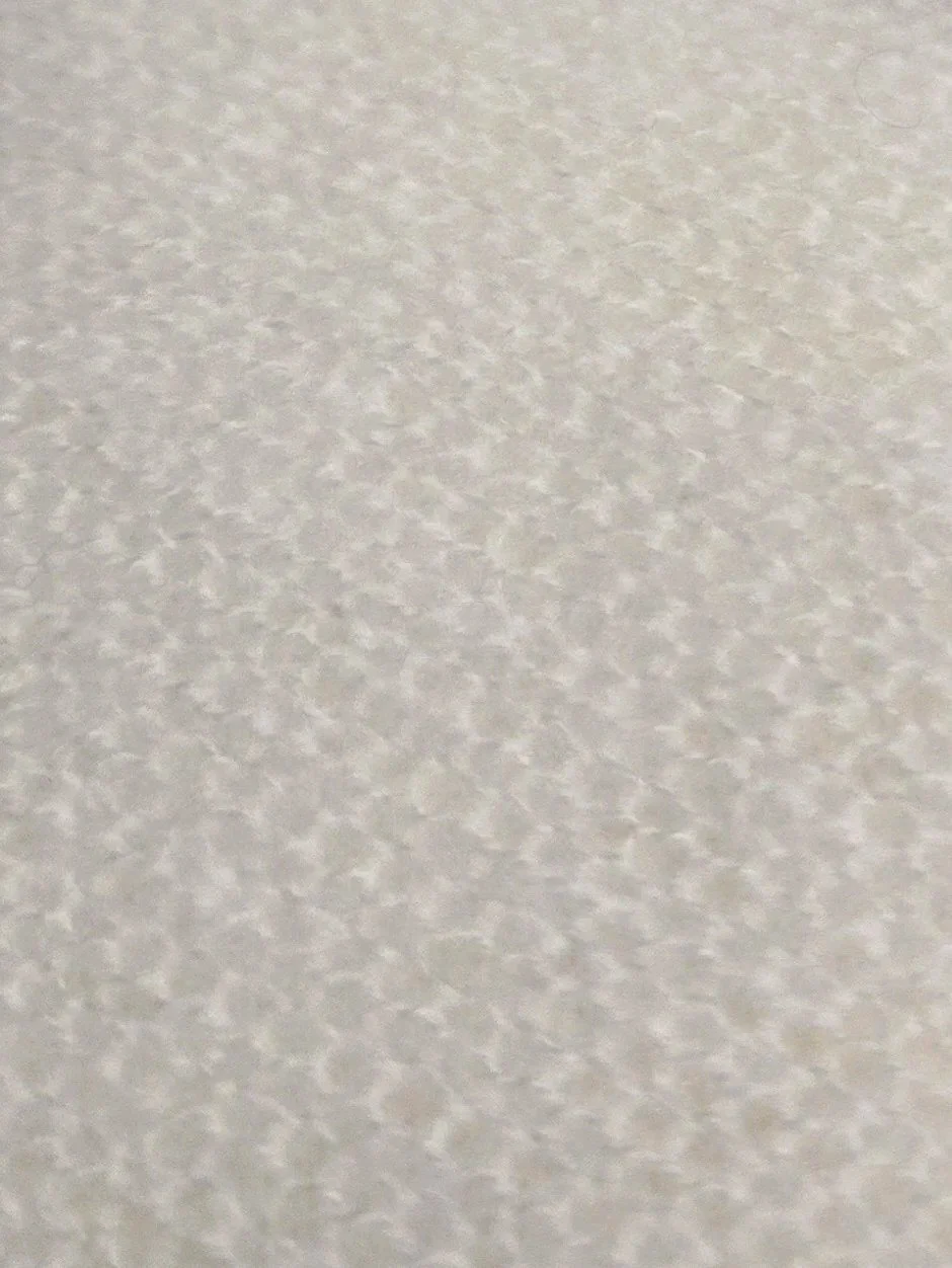 imgi_18_20250617_153058.jpg