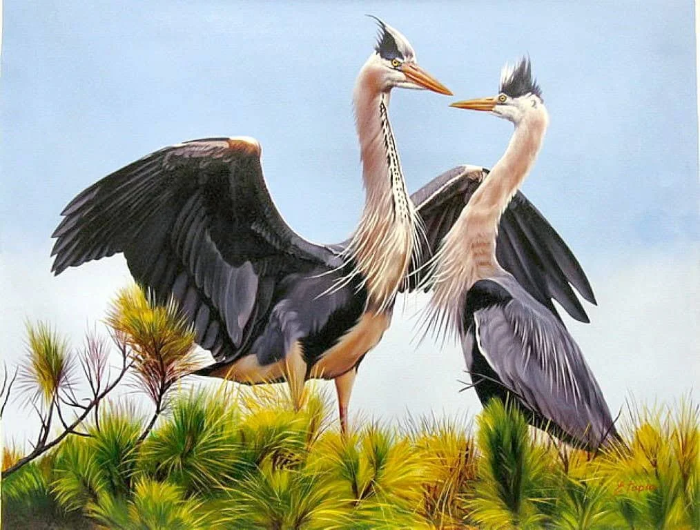“Two Herons” by Pedro Tapia, size 40" x 30"