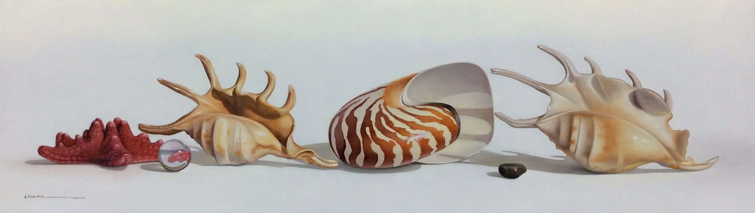 “Shell Series” by Francisco Casas, size 31" x 10"