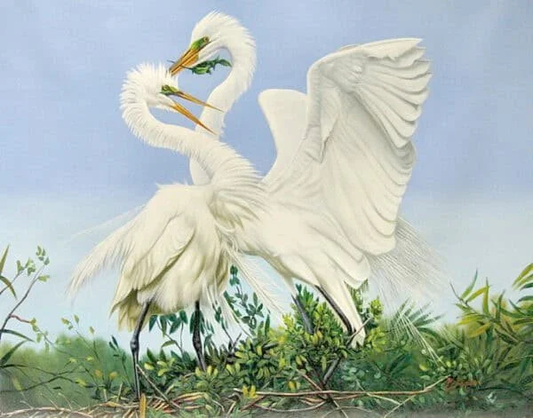 “Egrets Building Nest” by Pedro Tapia, size 40" x 30"