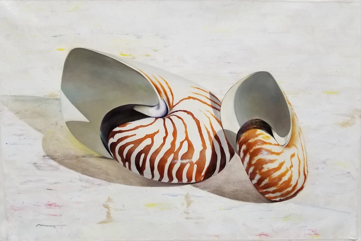 “Nautilus Shell” by Francisco Casas, size 47" x 31"