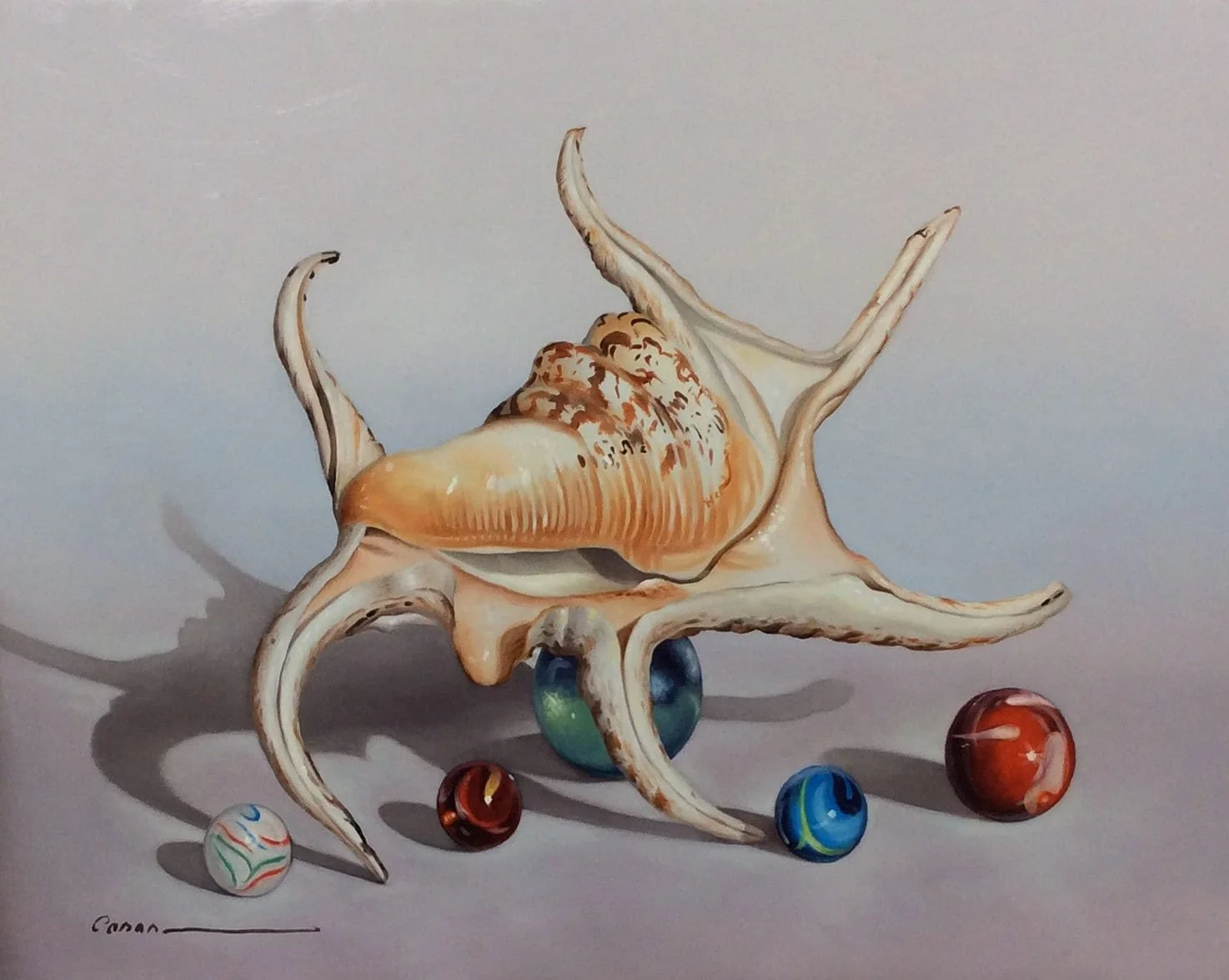 “Shell Series” by Francisco Casas, size 14" x 10"