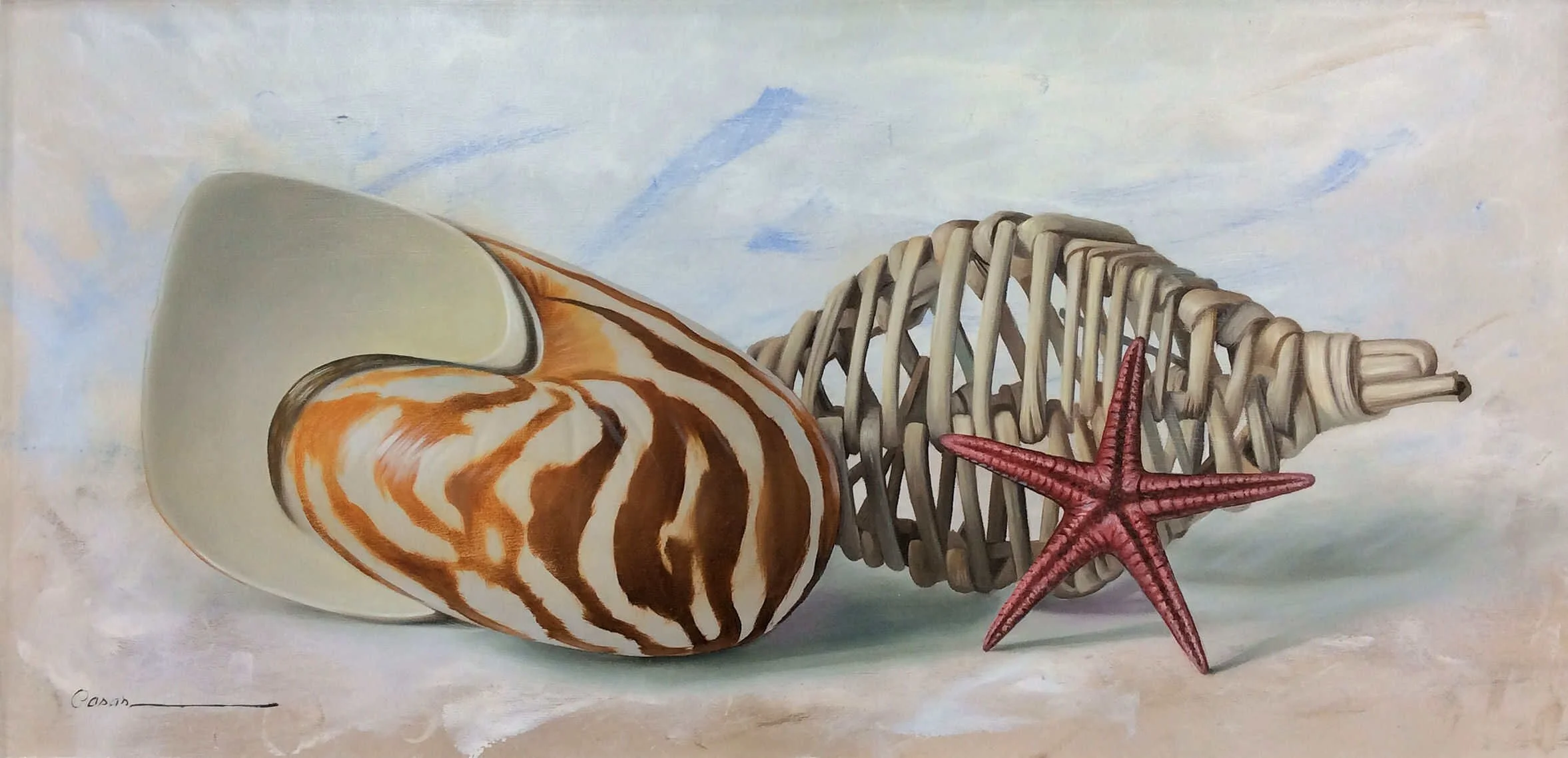 “Shell Series” by Francisco Casas, size 20" x 10"