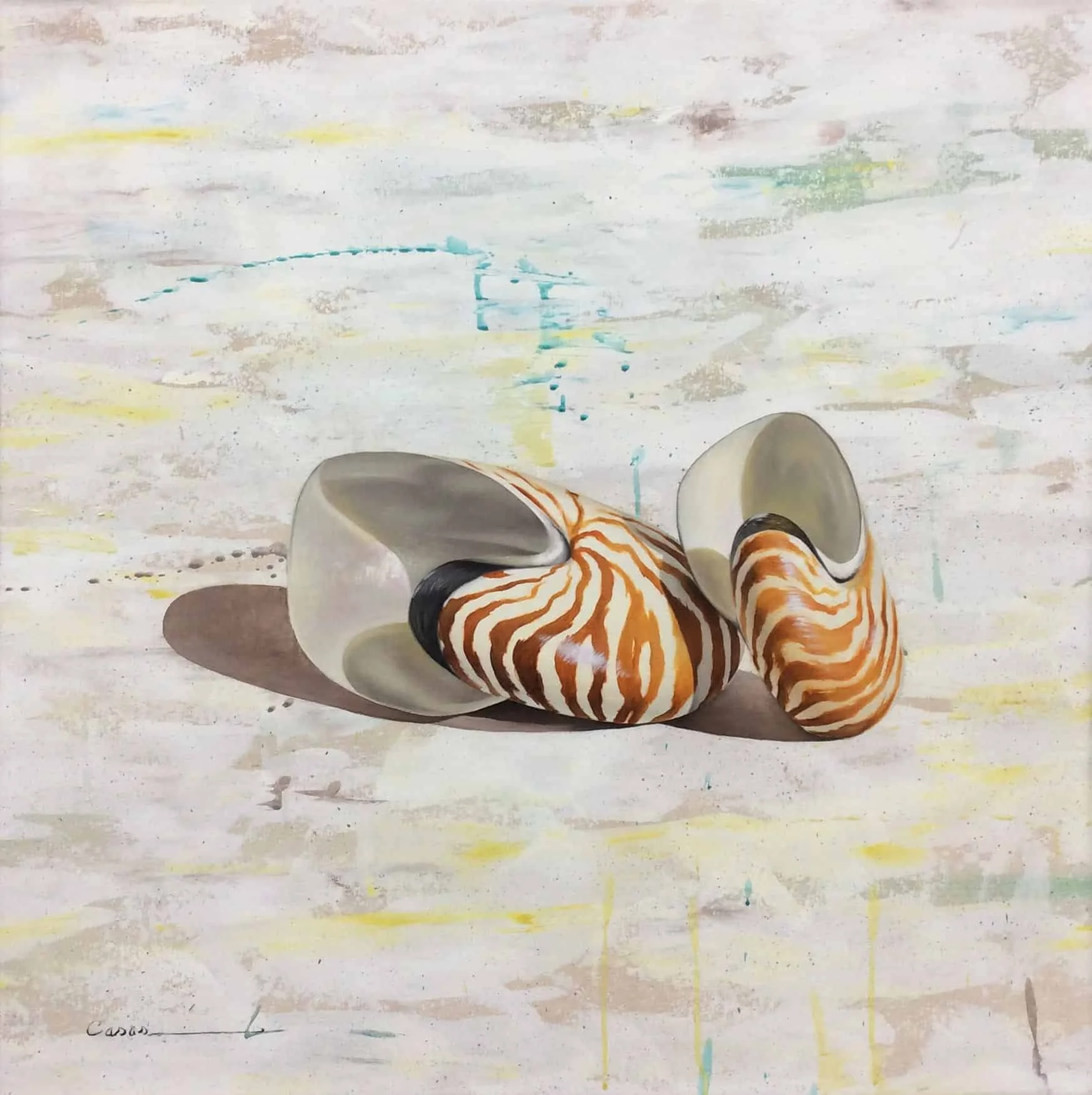 “Shell Series” by Francisco Casas, size 27" x 27"