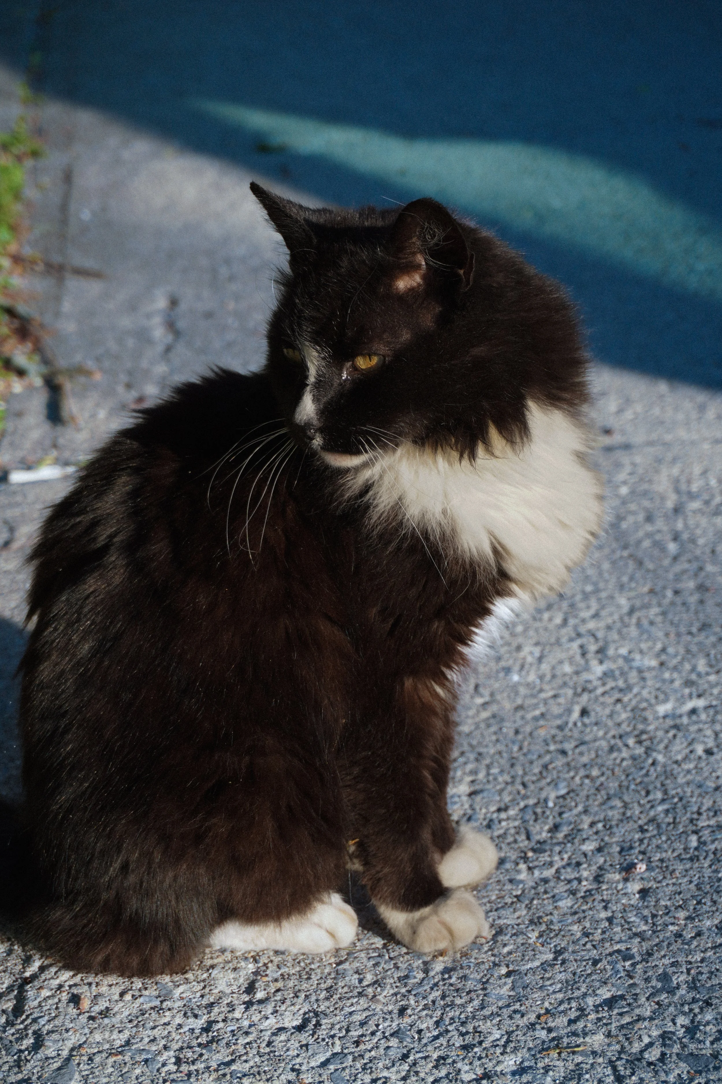 DSC01311.JPG