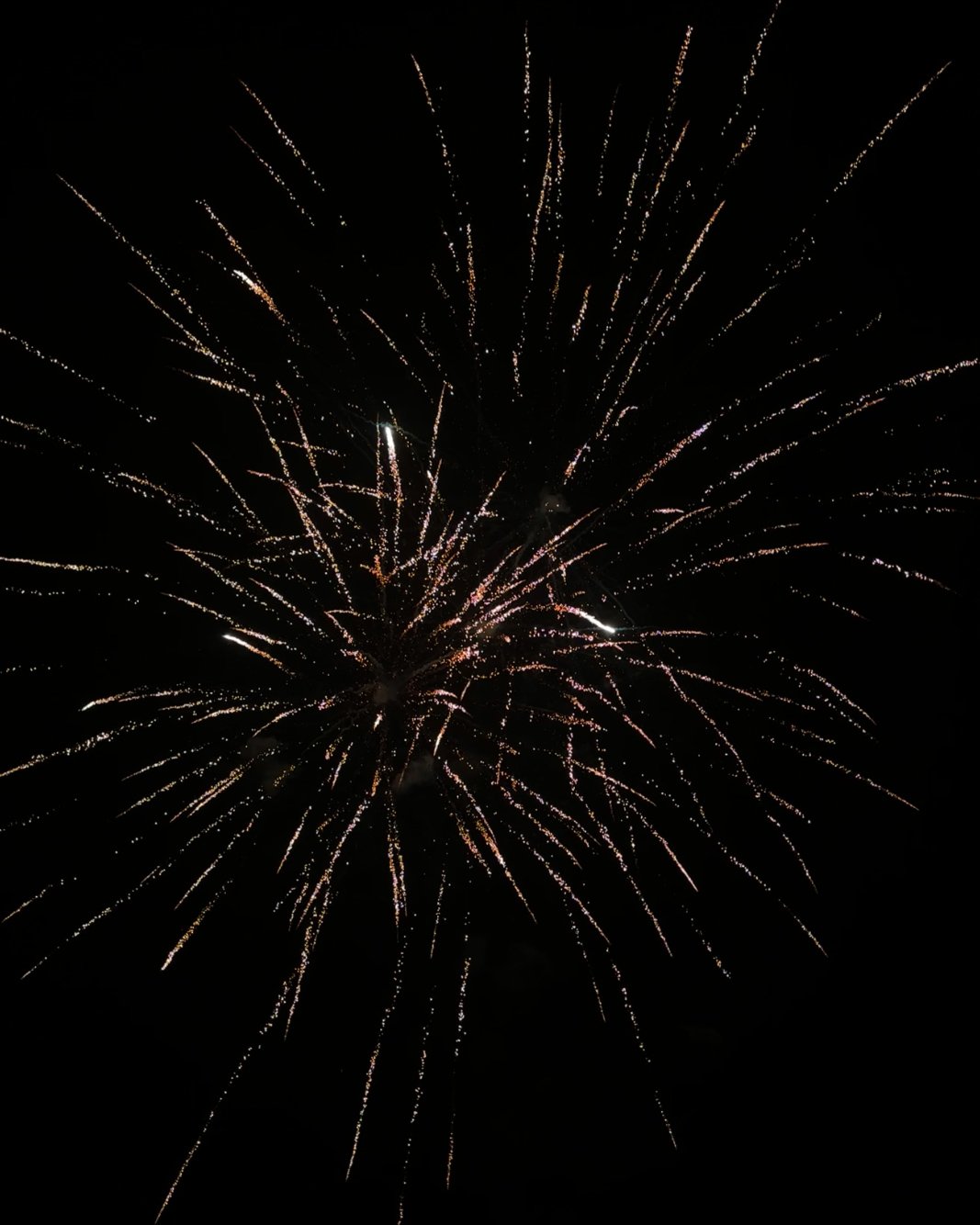 IMG_2994.JPG