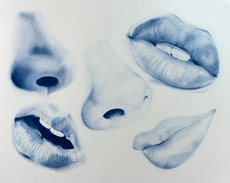 Mouth and Nose Study_2.jpg