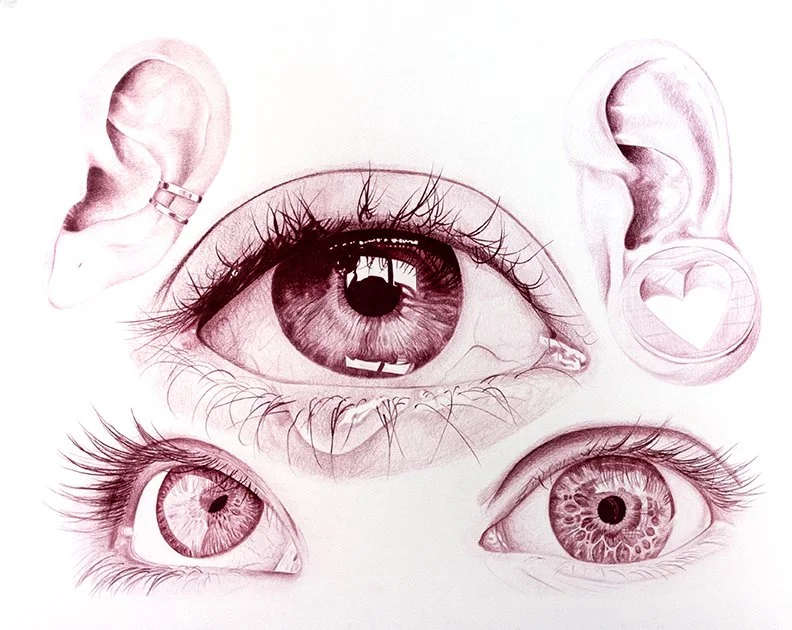 Eyes and Ears Study_1.jpg