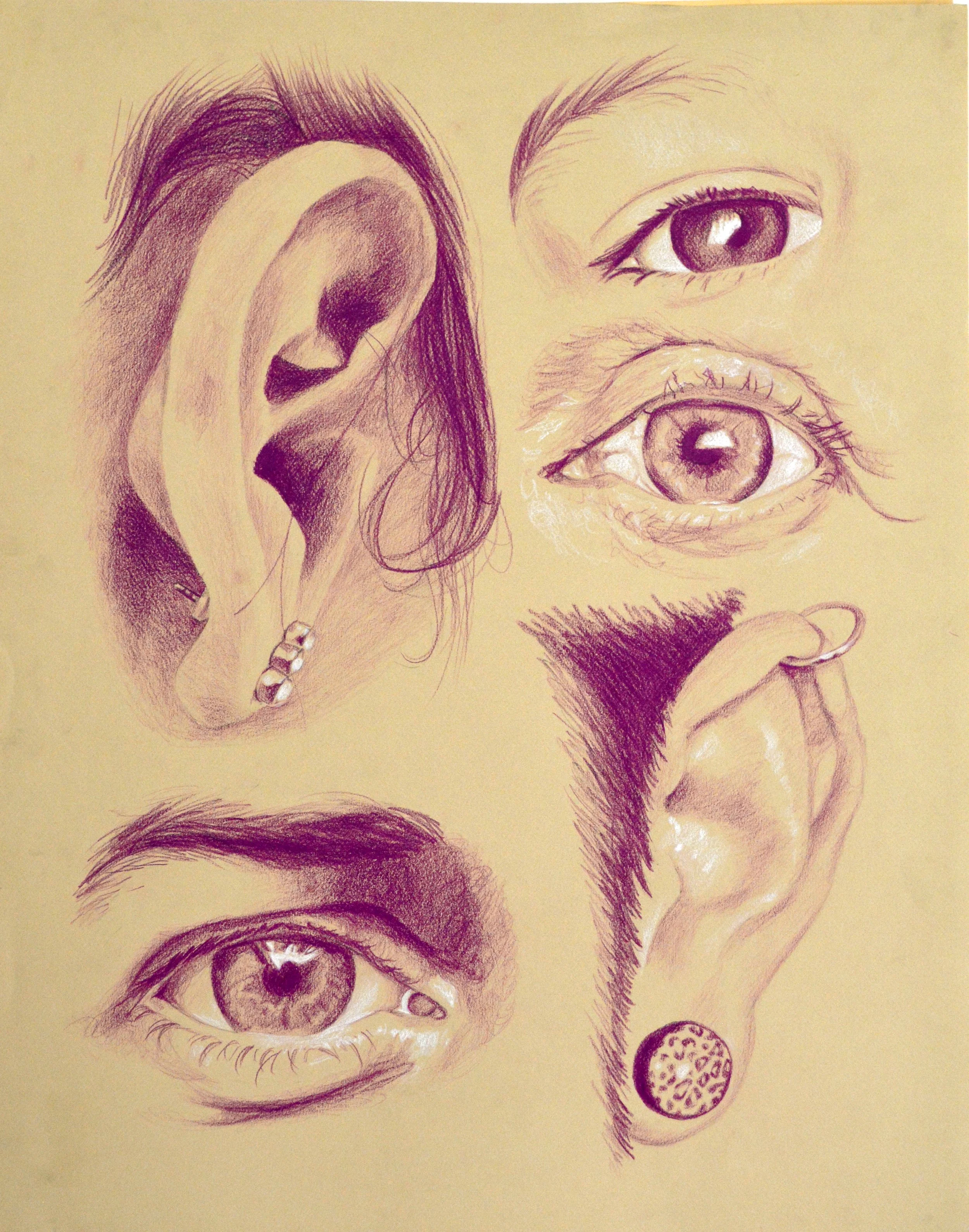 Eyes and Ears Sudy_2.JPG