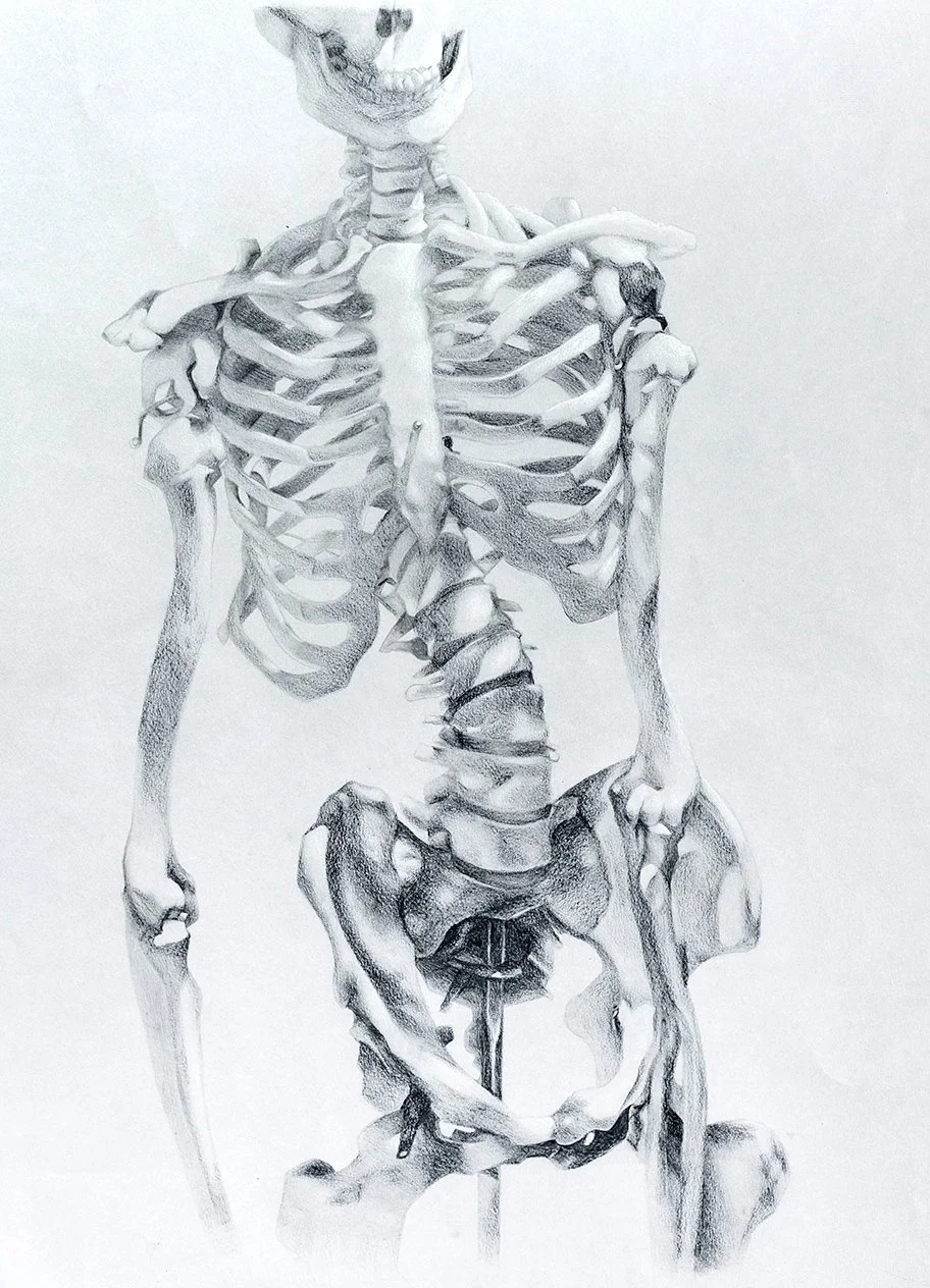 Skeleton Study_2.jpg