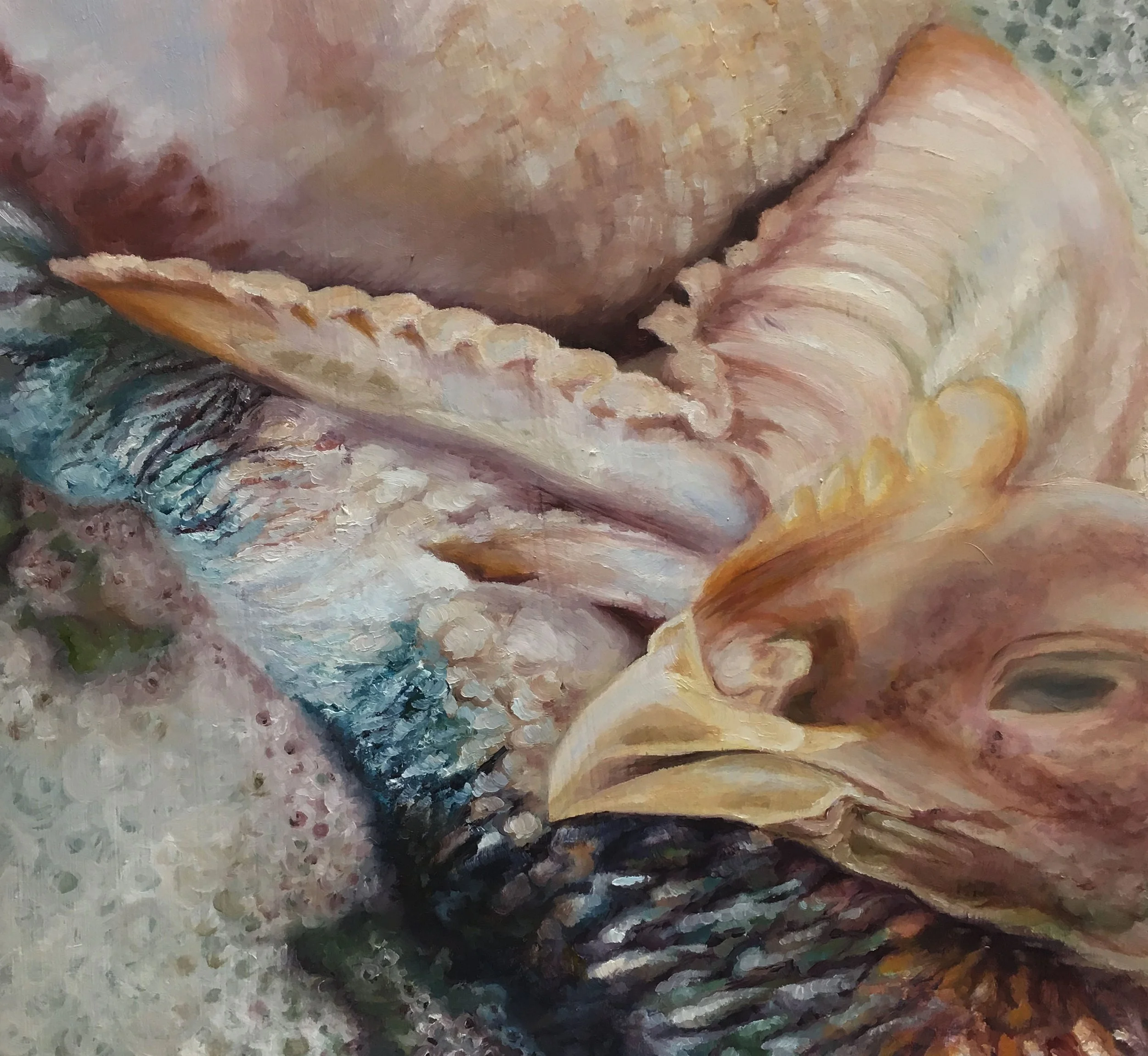 Monica Cook Workshop
12x12
Oil on Panel
2018