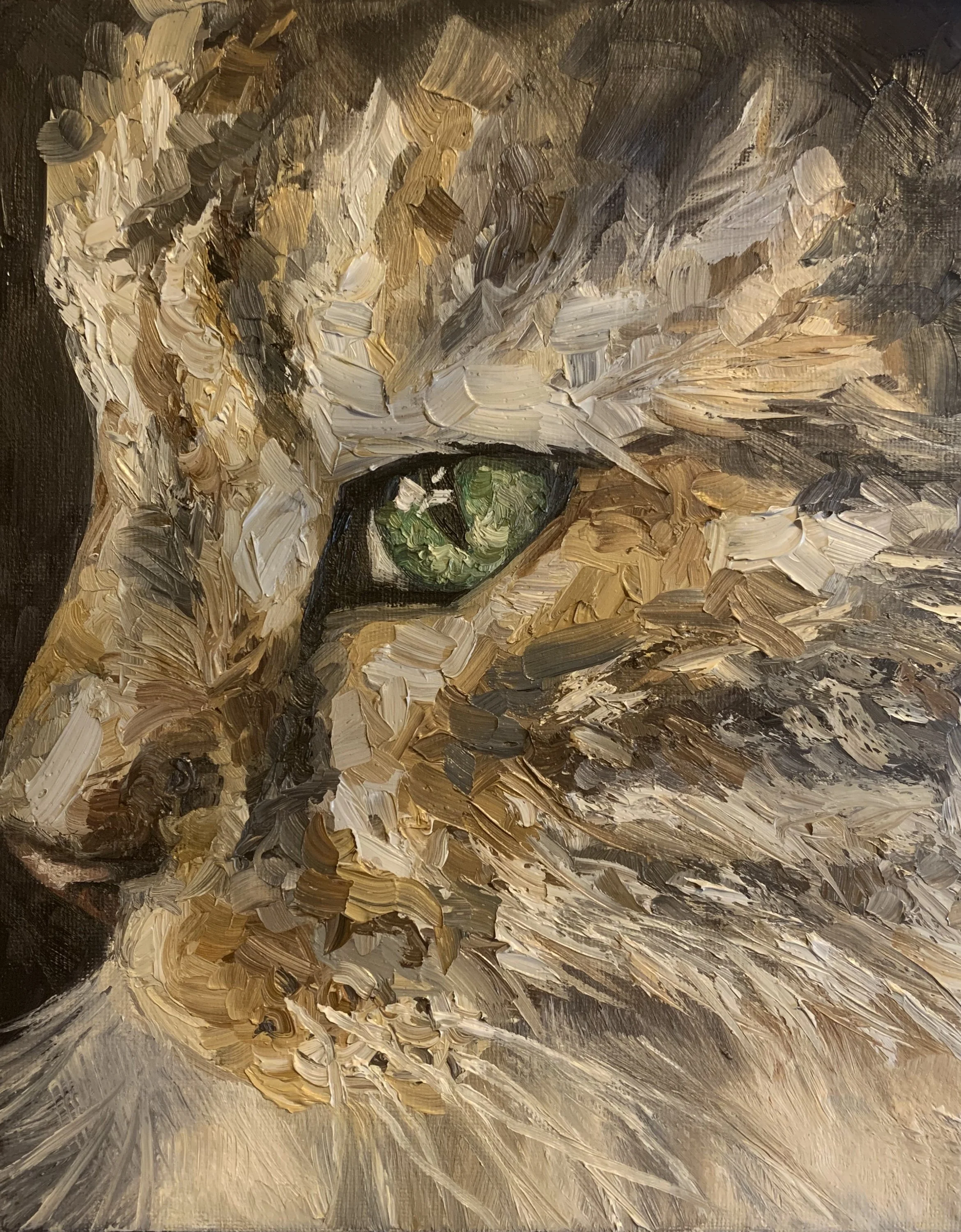 Jack
8x10
Oil on Canvas
2020