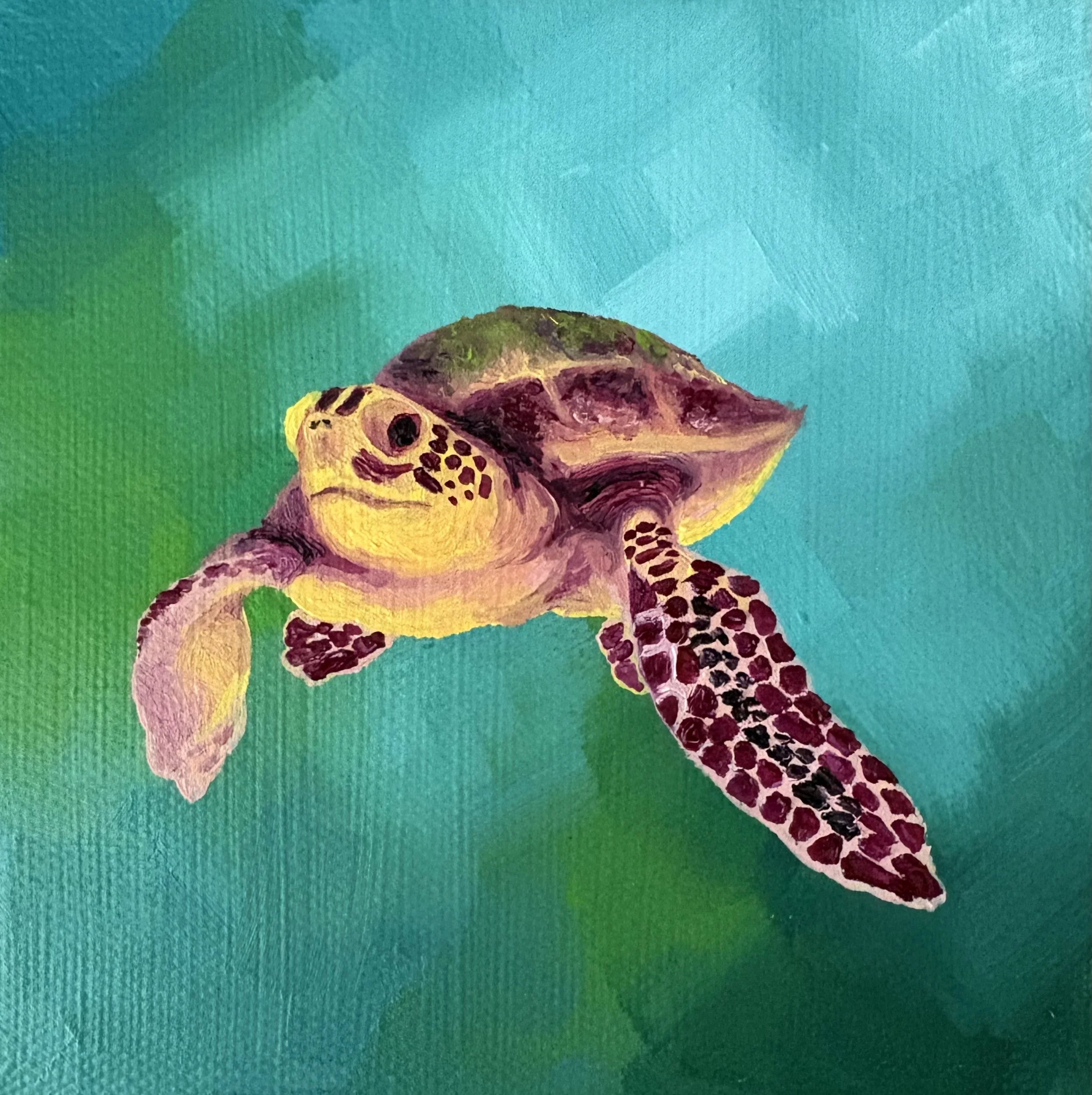 Sheldon
5x5
Oil on Canvas
2026