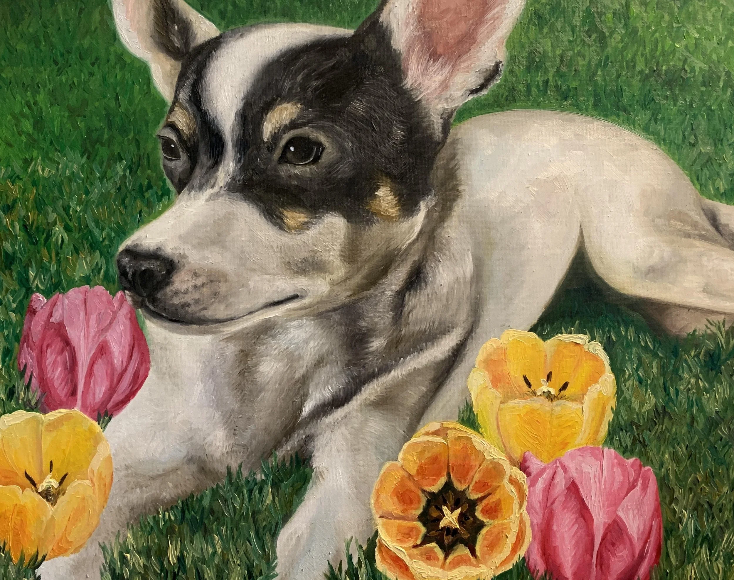 Tulip
16x20
Oil on Canvas 
2020