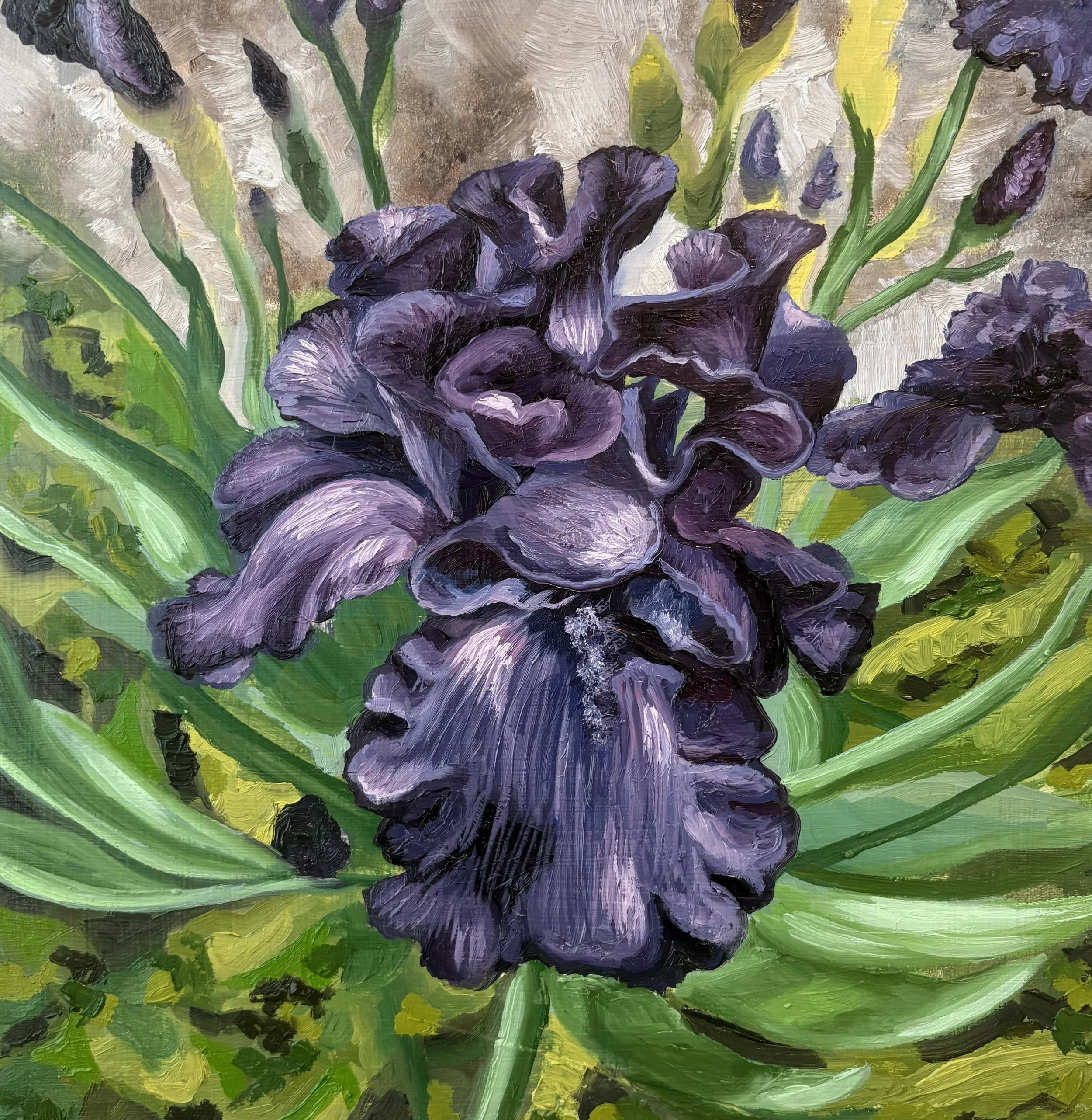 Iris
12x12
Oil on Panel 2026