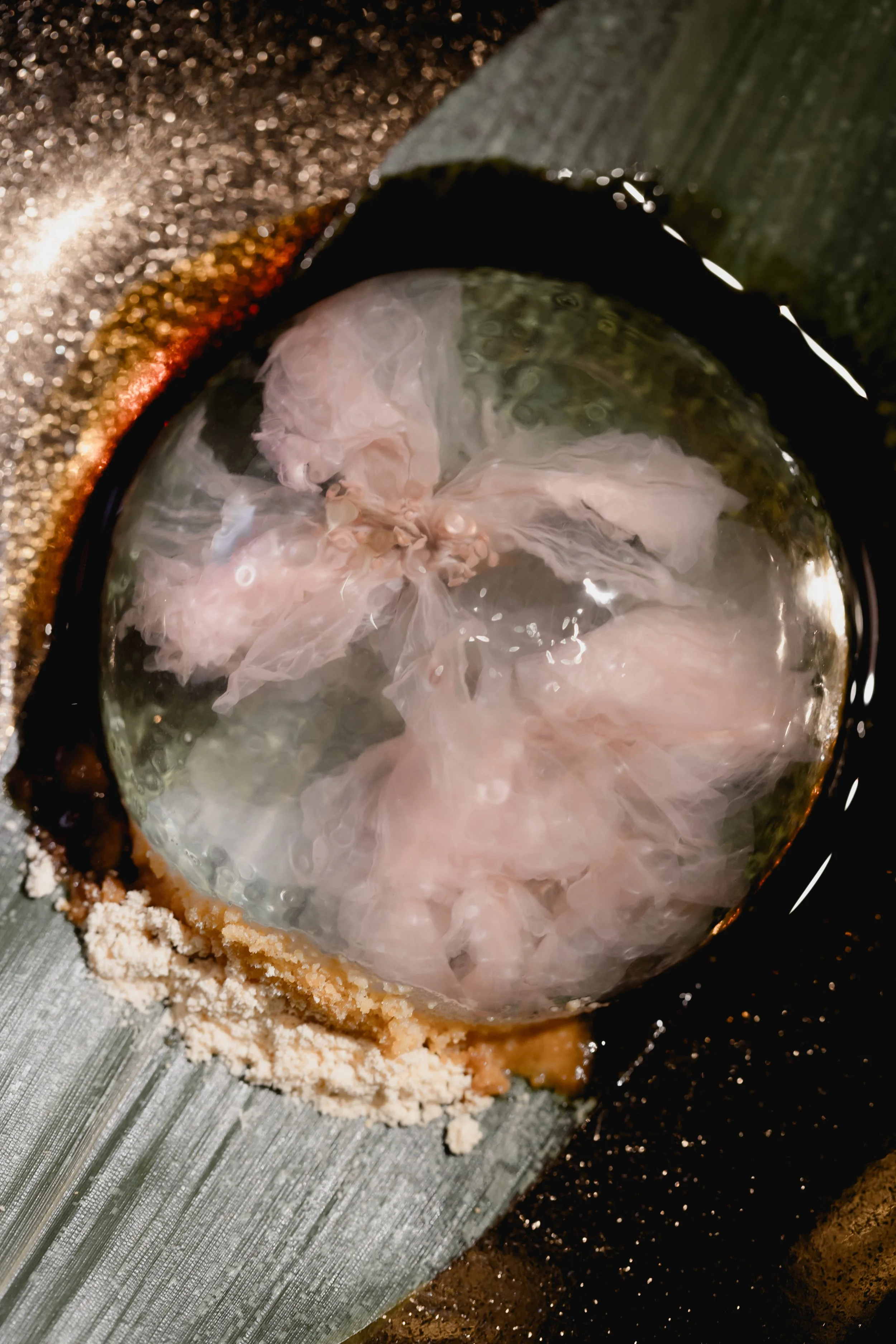 YUZU0062 2.jpg