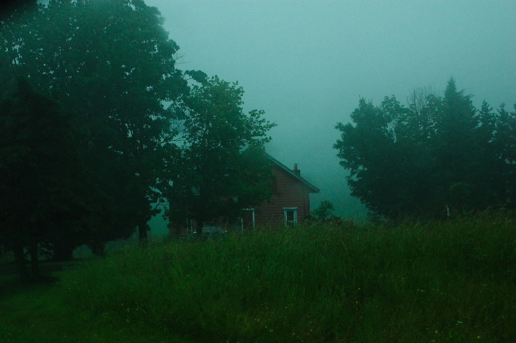 DSC_0956.jpg