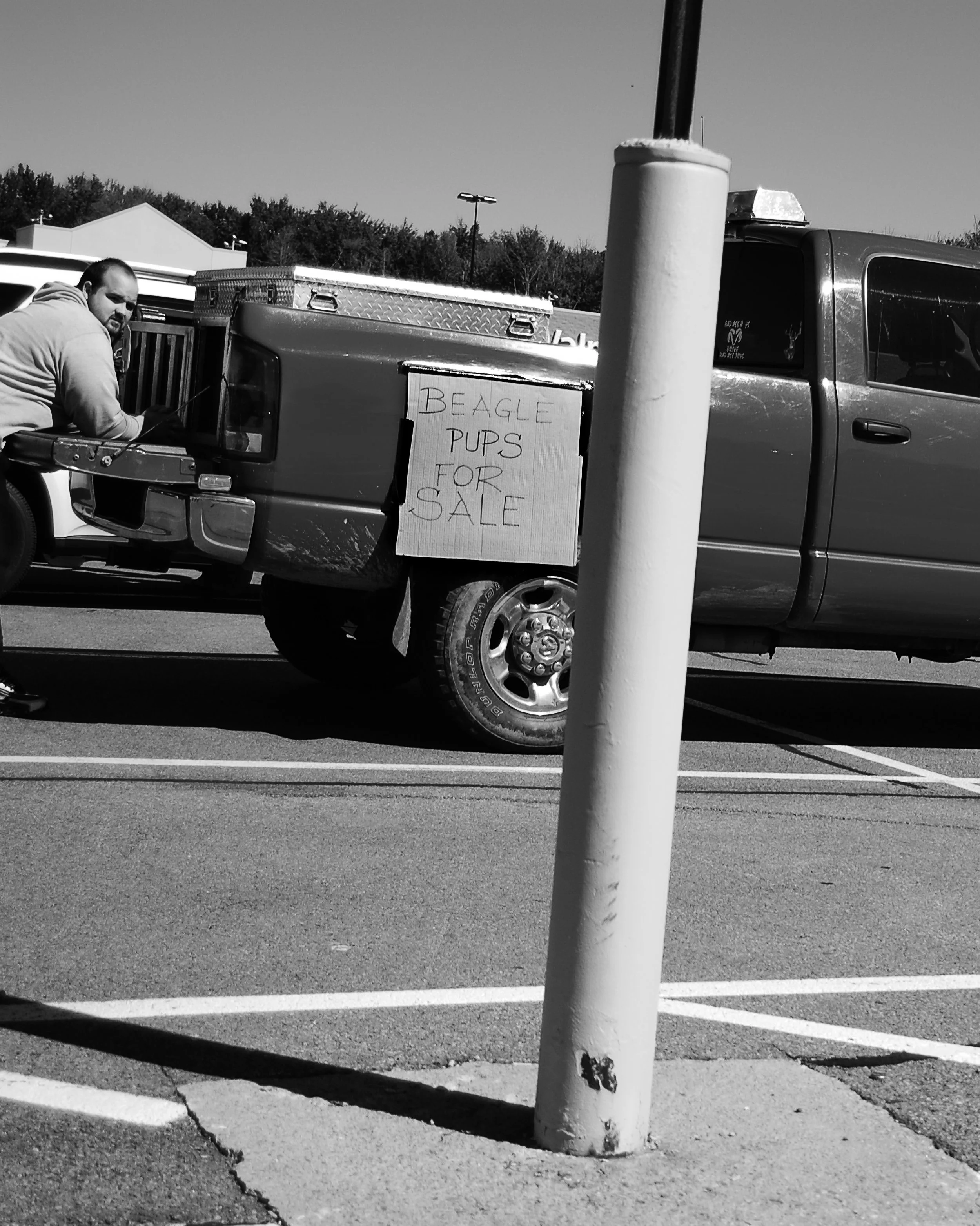 DSC_1101-Enhanced.jpg