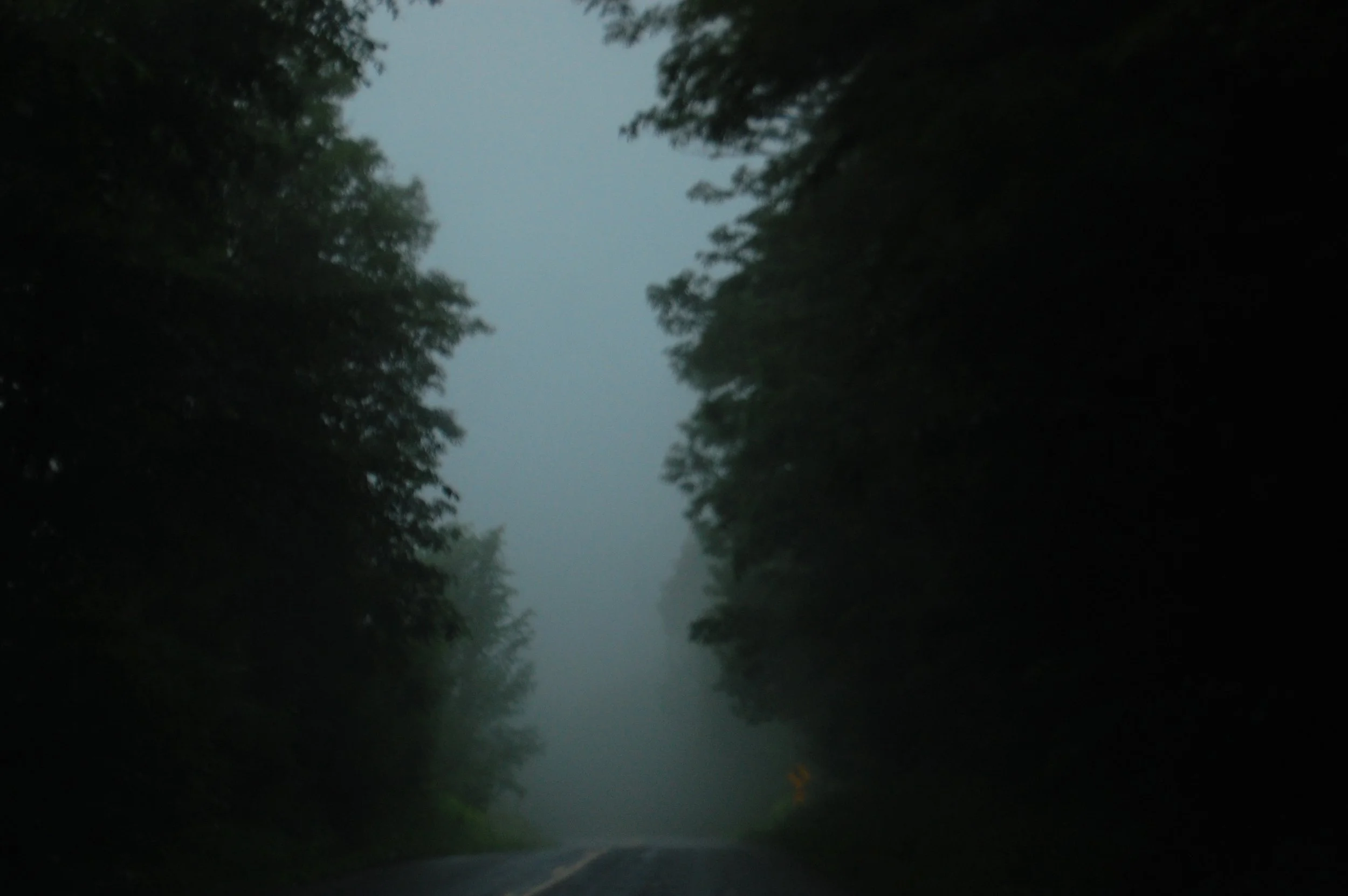 DSC_0945.jpg