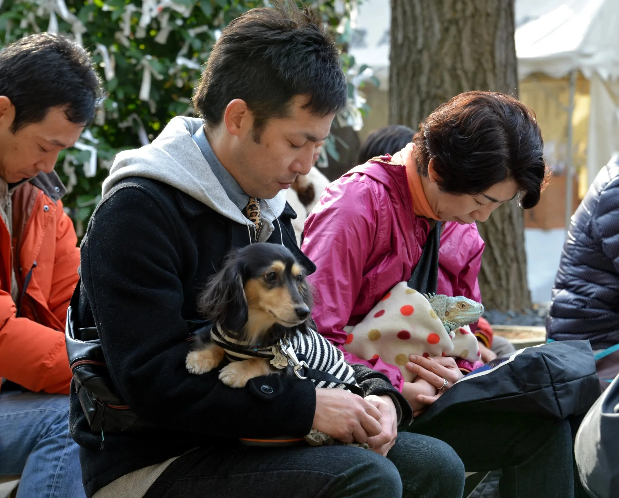 Pets Outnumber Children !