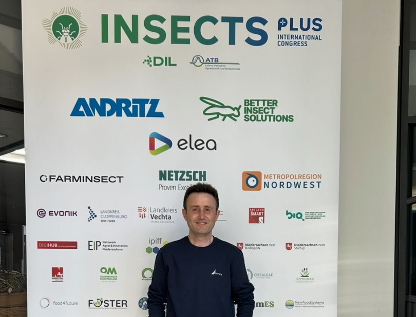 INSECTS PLUS 2025, Germany