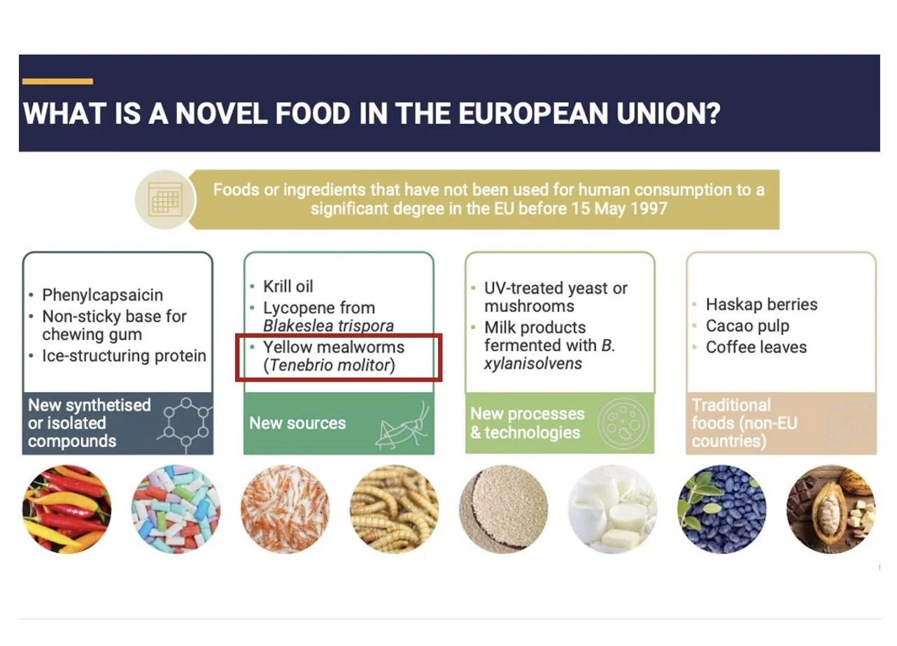 Mealworm as a Novel Food