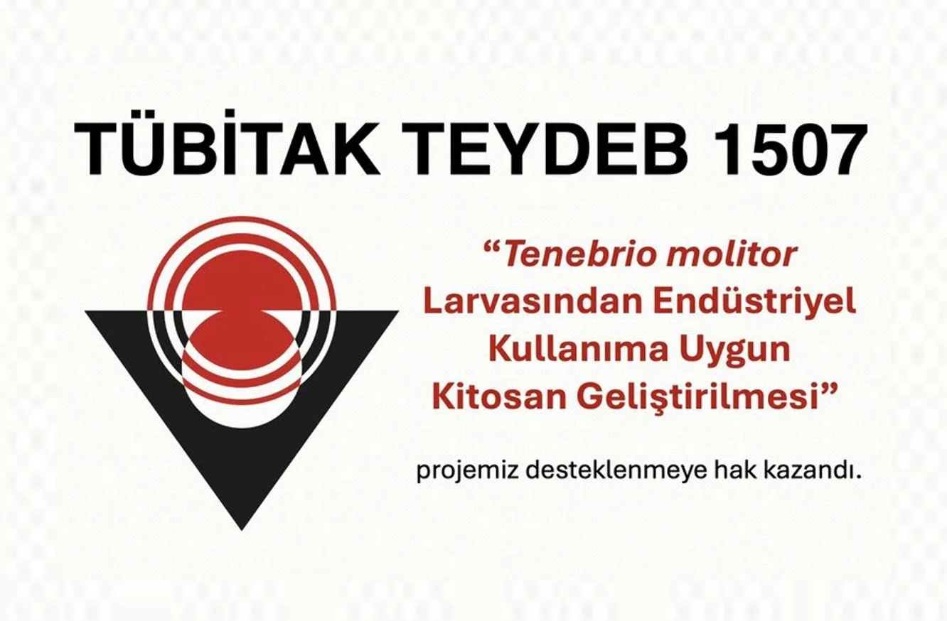 TEYDEB 1507 Project 