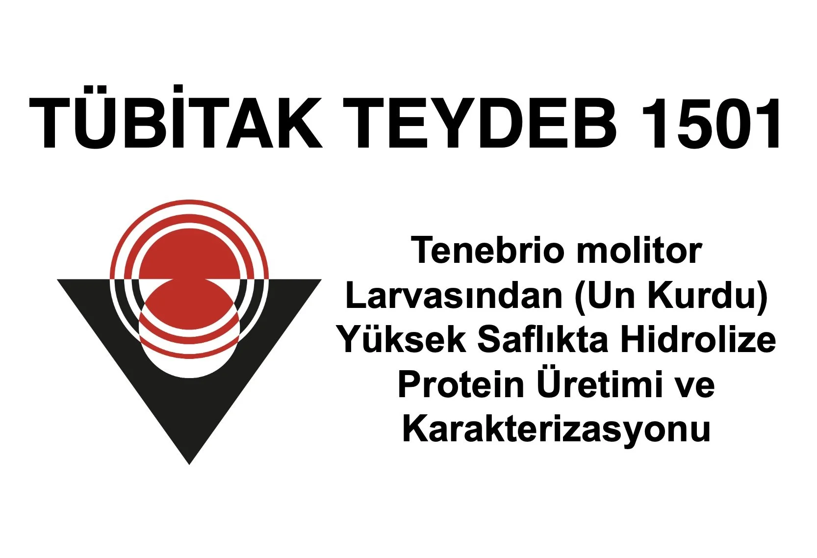 TEYDEB 1501 Project 