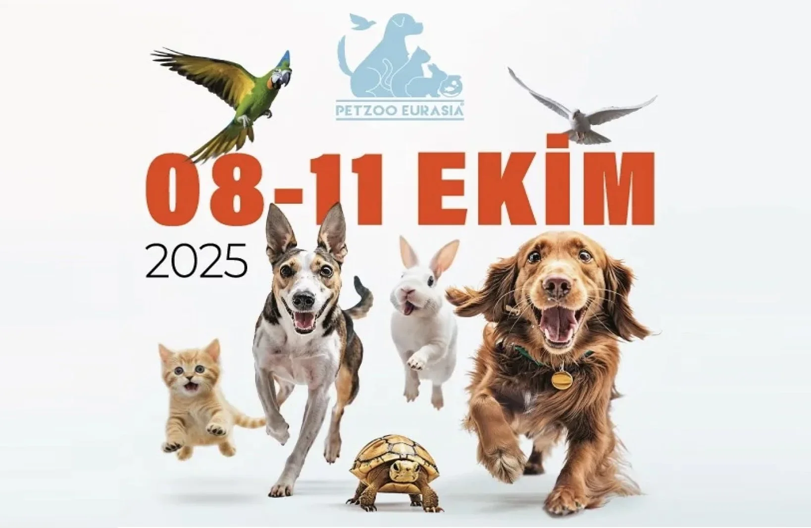 Petzoo Eurasia 2025, İstanbul