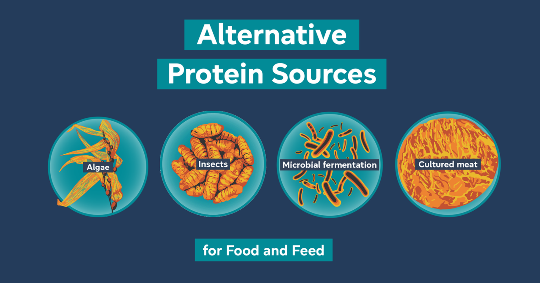 US Military in Search of  Alternative Protein