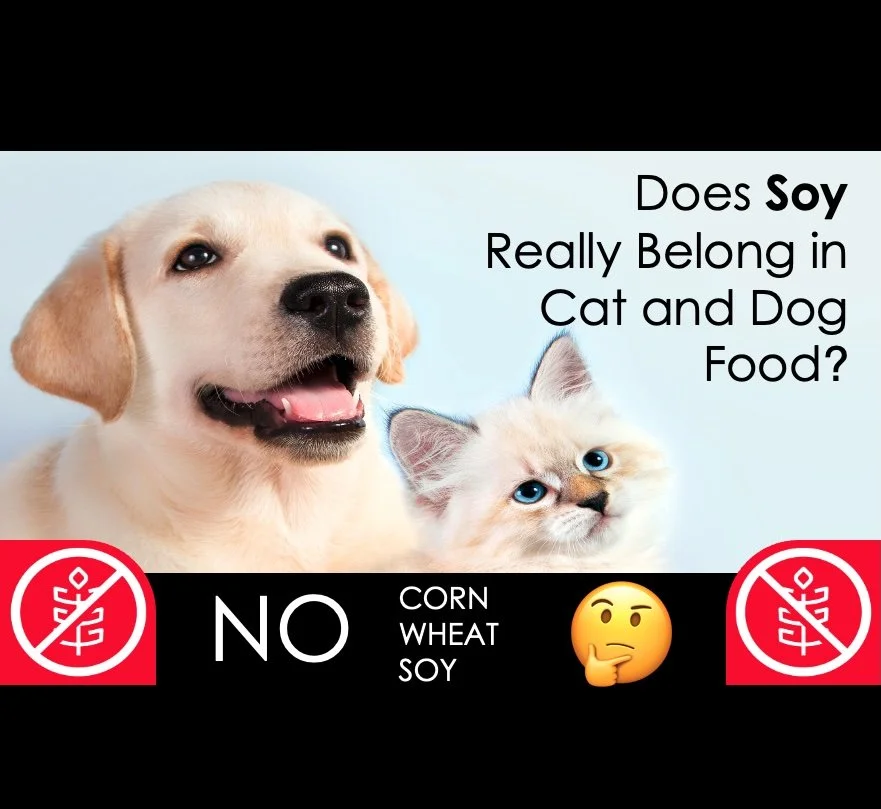 SOY IN PET FOOD