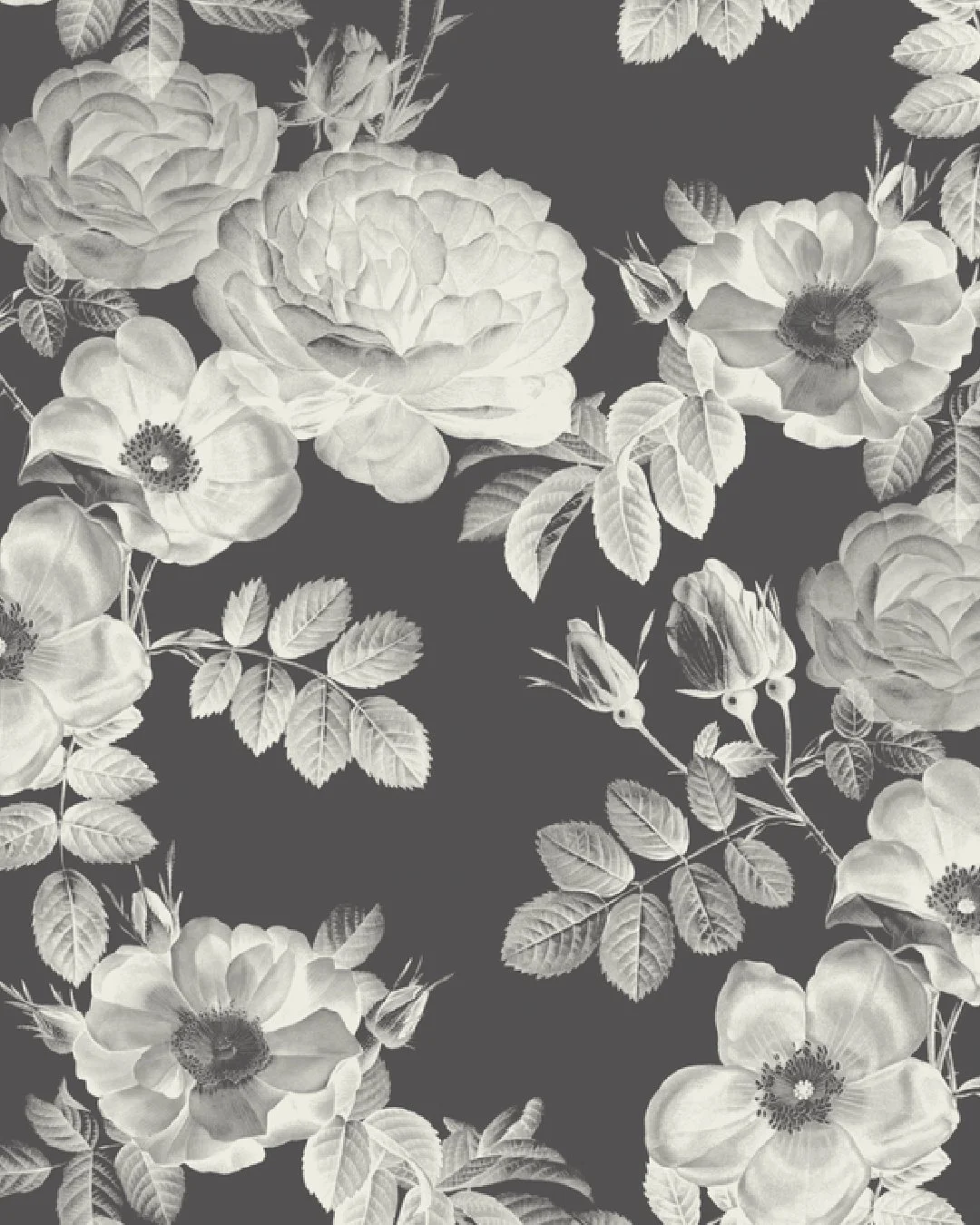 patterns-10.jpg