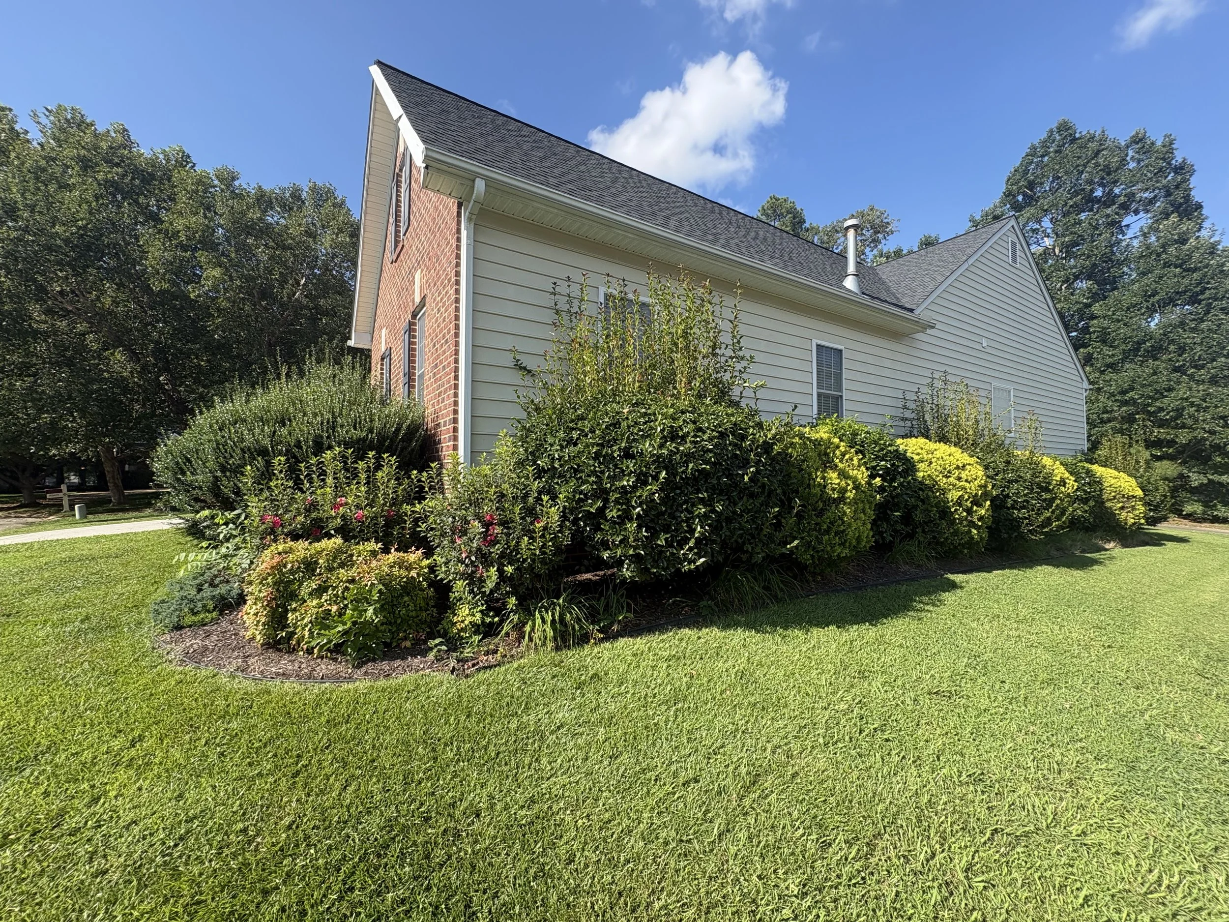 Preserving Homes with Safe Tree Work in Richmond