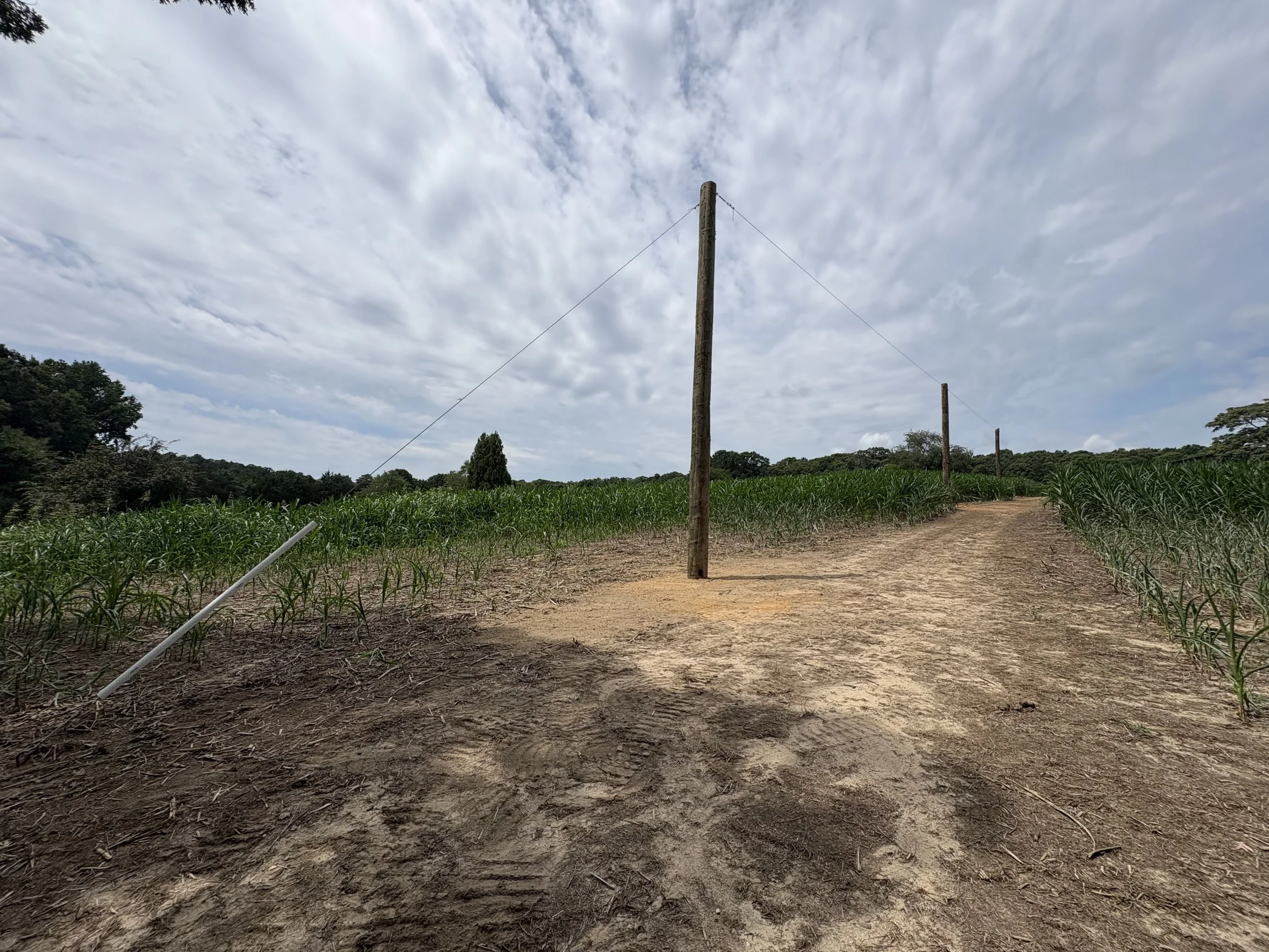 Custom Dove Pole and Wire