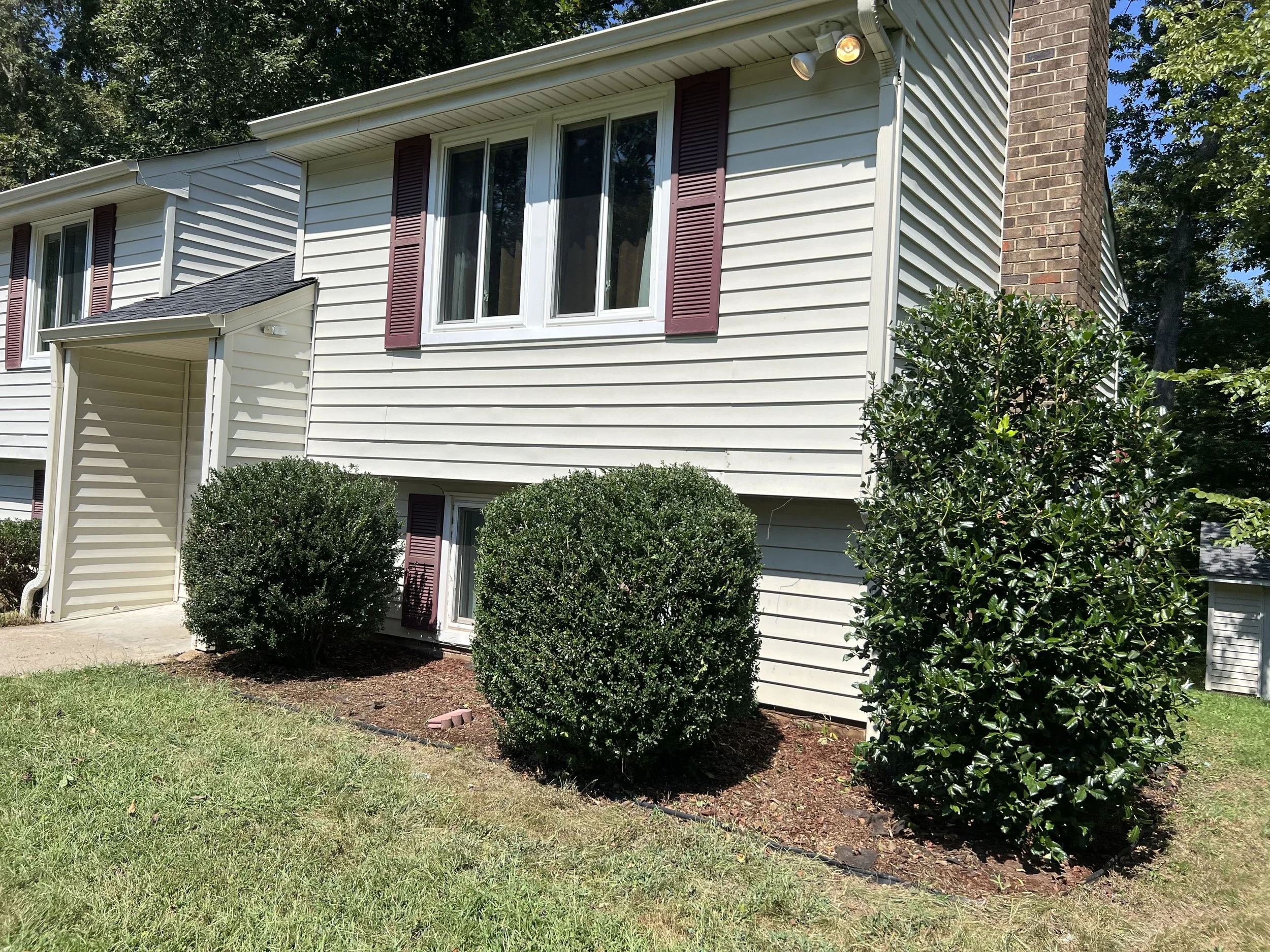 Shrub Trimming and Ivy Bed Transformation