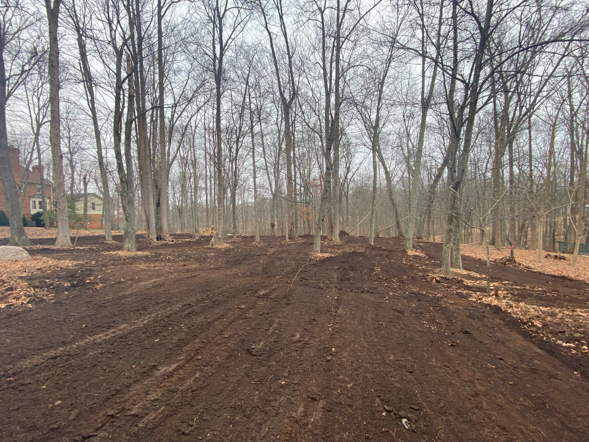 Land Clearing and Grading for yard expansion