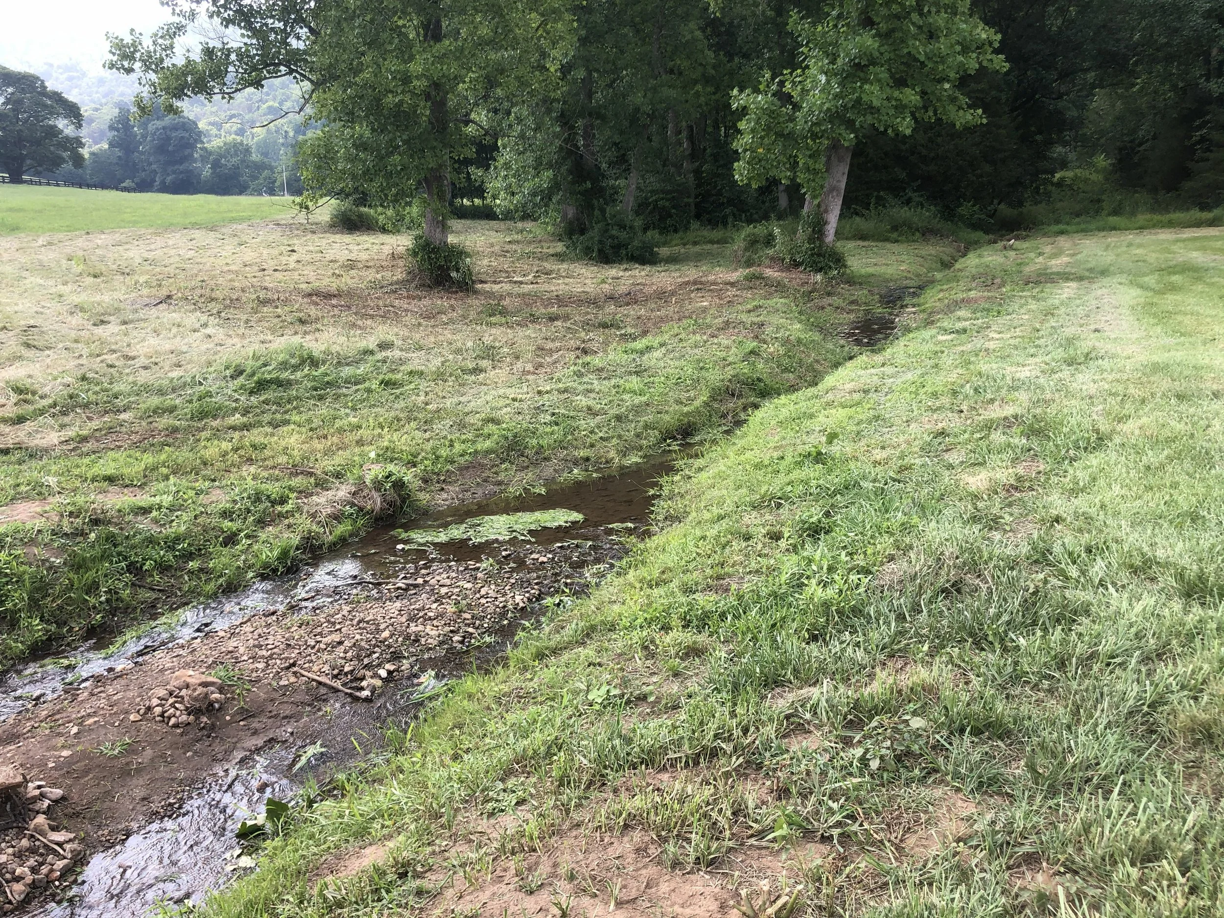 Mowed and trimmed creek bed on large Richmond farm