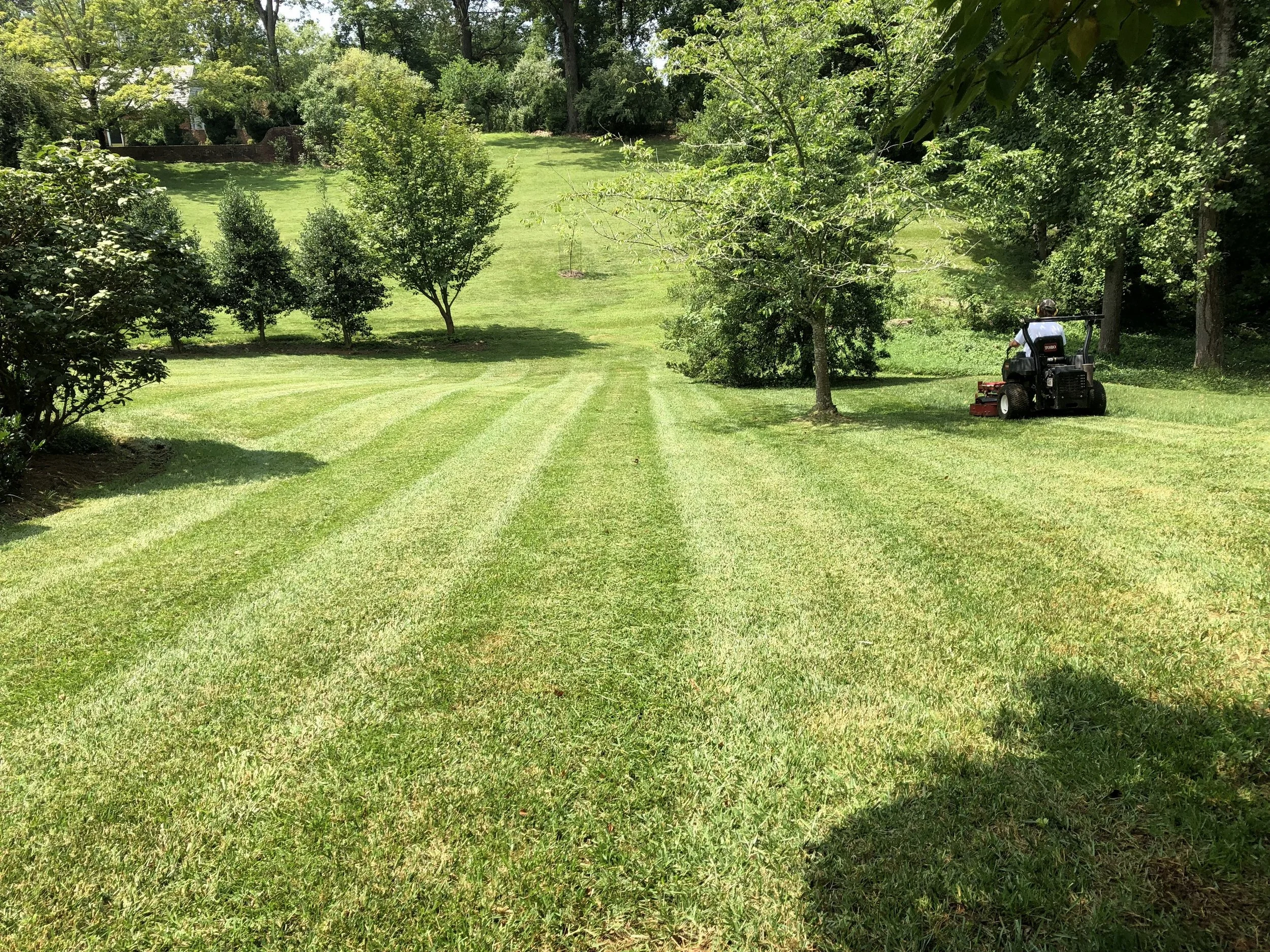Commercial grass mowing and maintenance with zero-turn mower and striped lawn