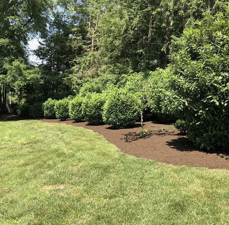 Spring Mulch Installation and Hedge Trimming
