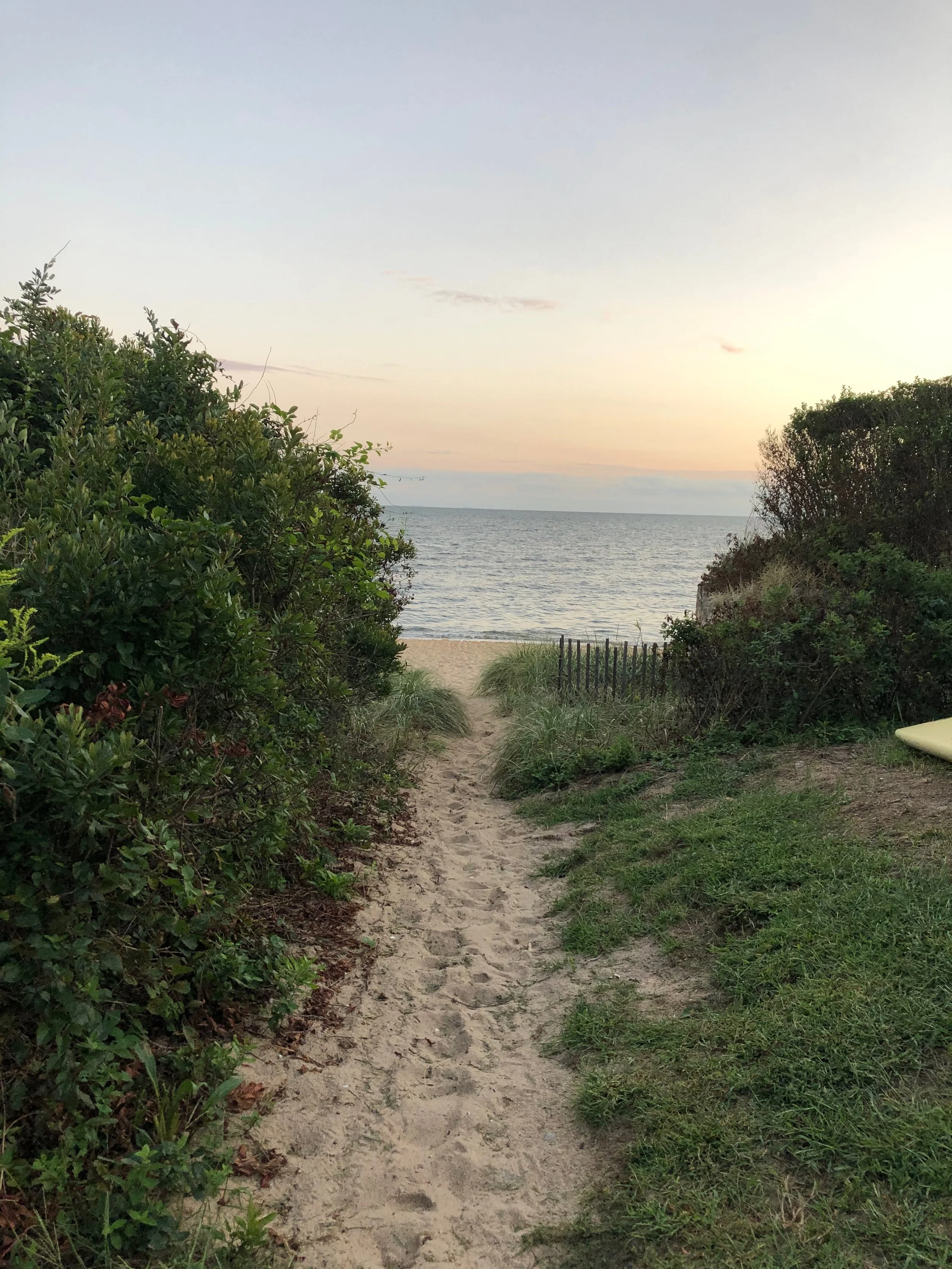 A sandy pathway leading to a beach with water in the distance, flanked by green shrubs and bushes at the golden hour of sunset.