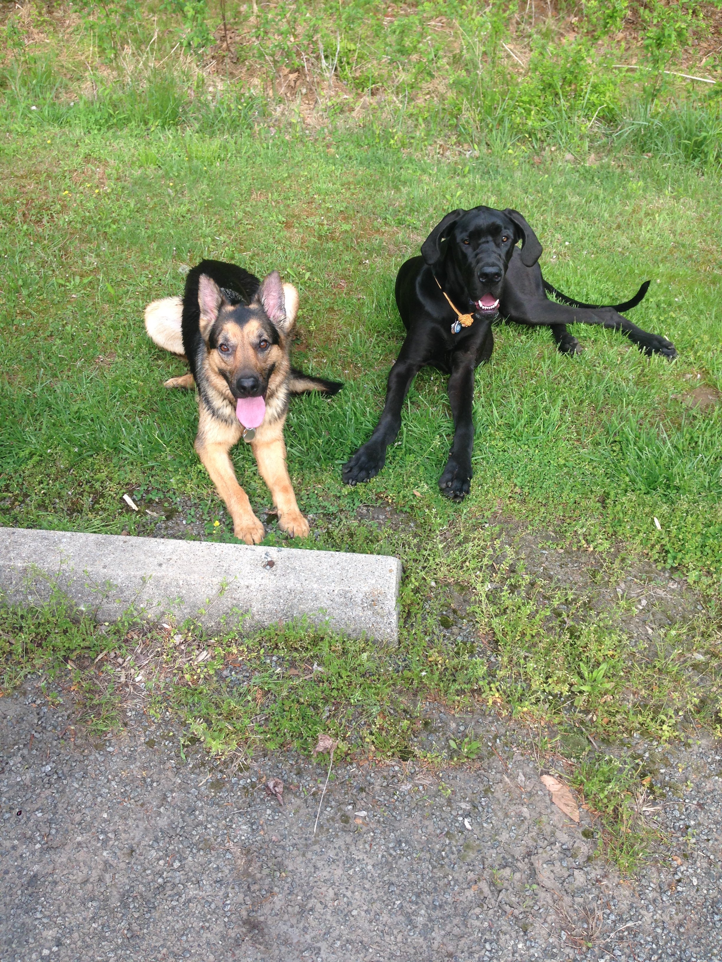 IMG_1044.JPG
