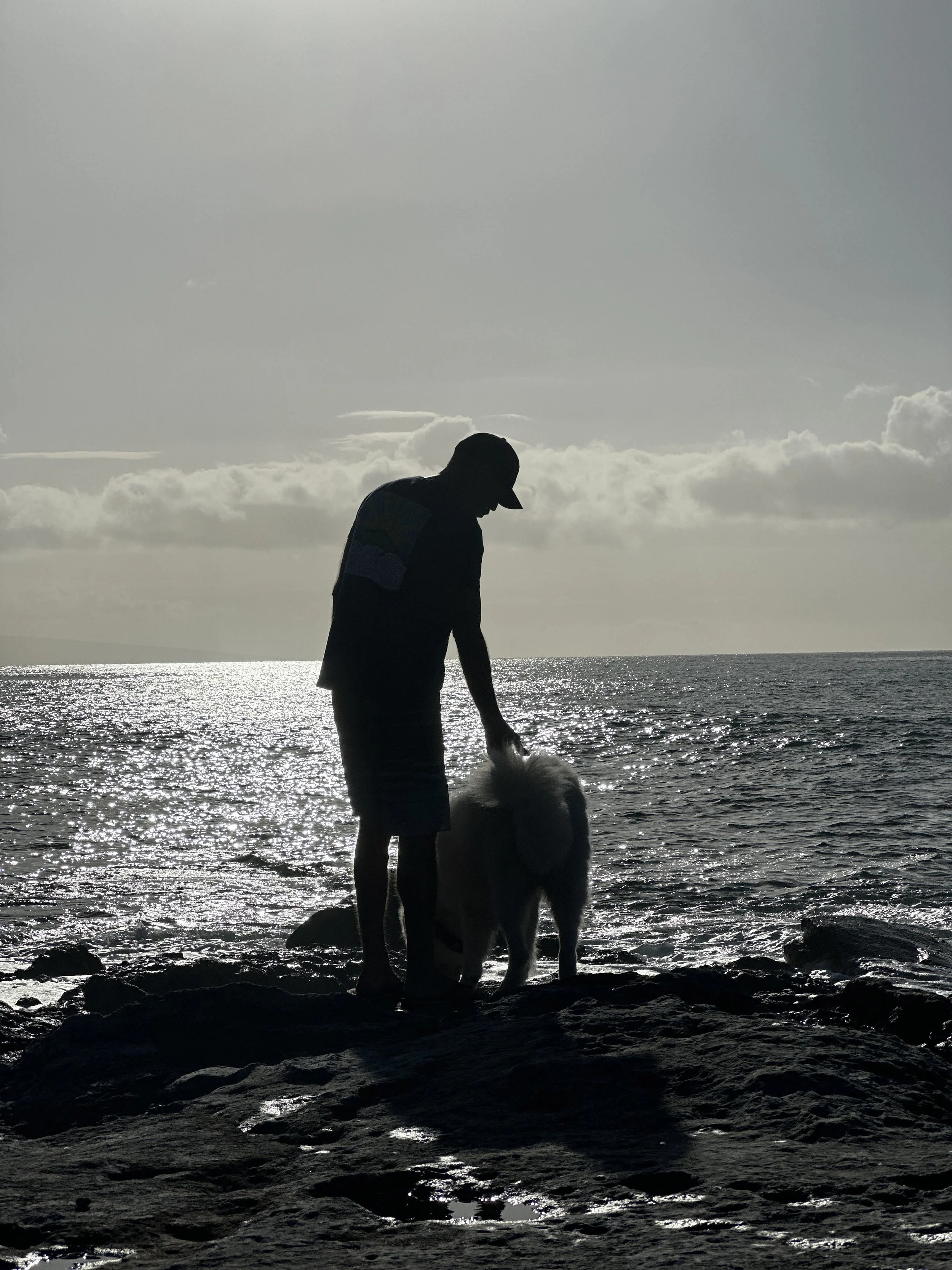 A silhouette of a dog and his owner, off-leash standing on rocks in Maui during sunset.