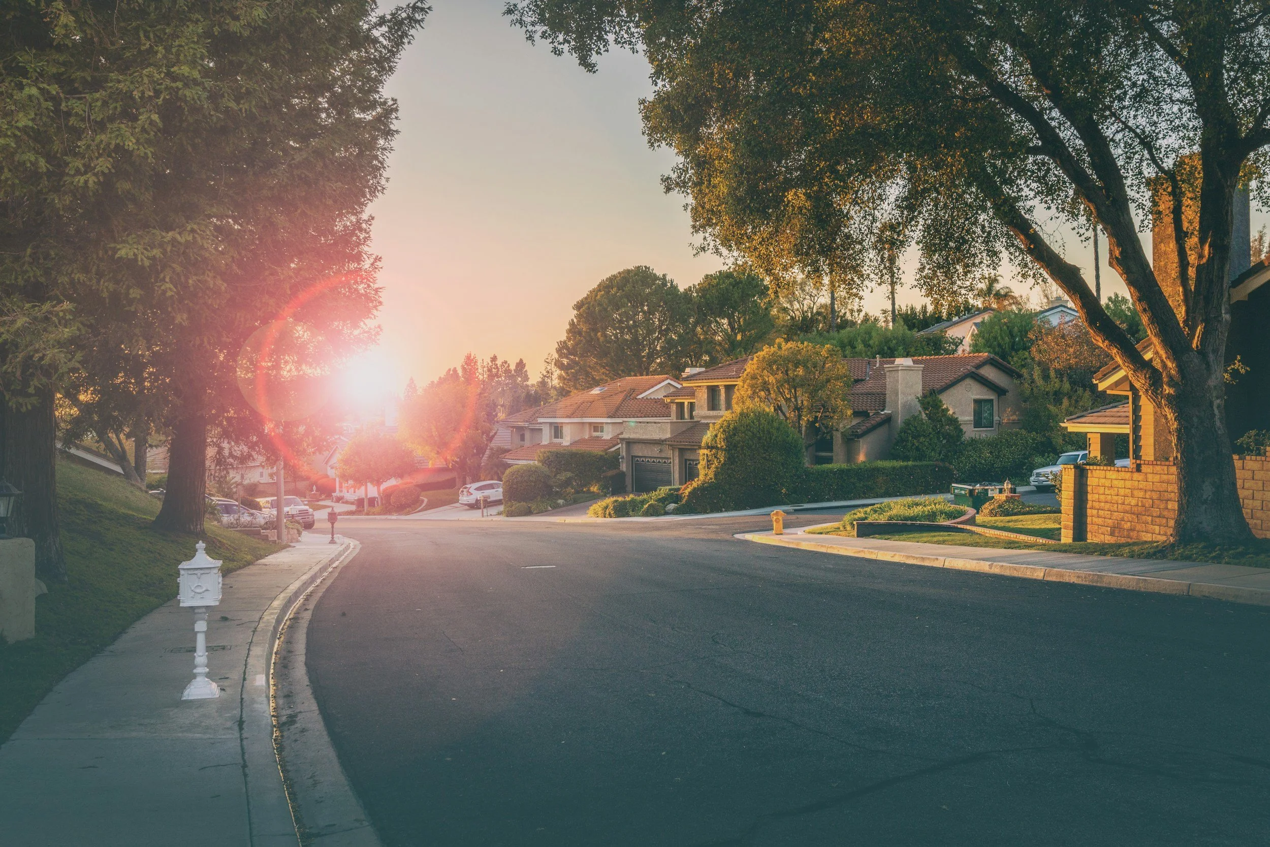 A quiet suburban street at sunset with houses, trees, and parked cars, bathed in warm sunlight.