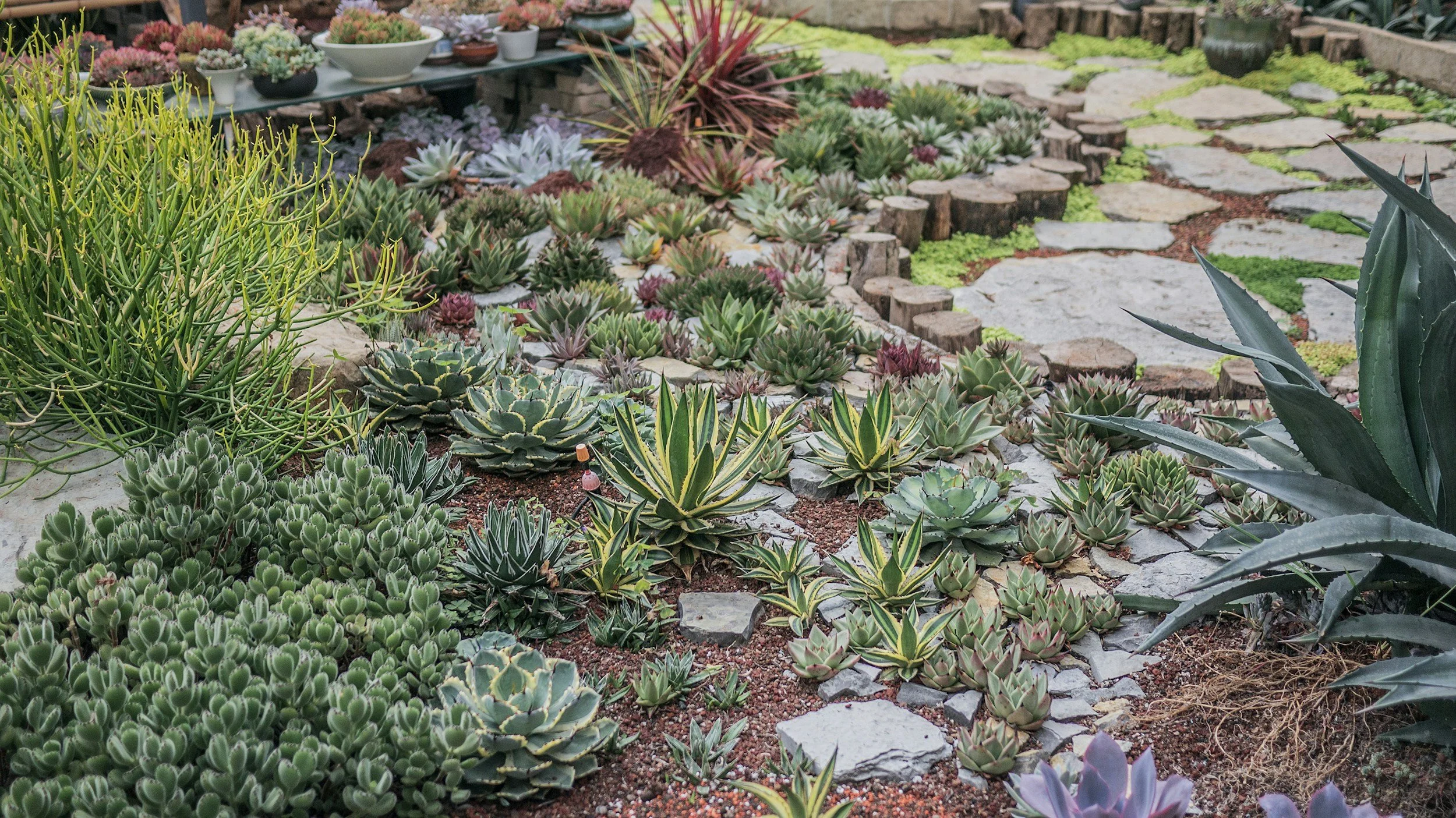 Low-Maintenance Landscaping Ideas
