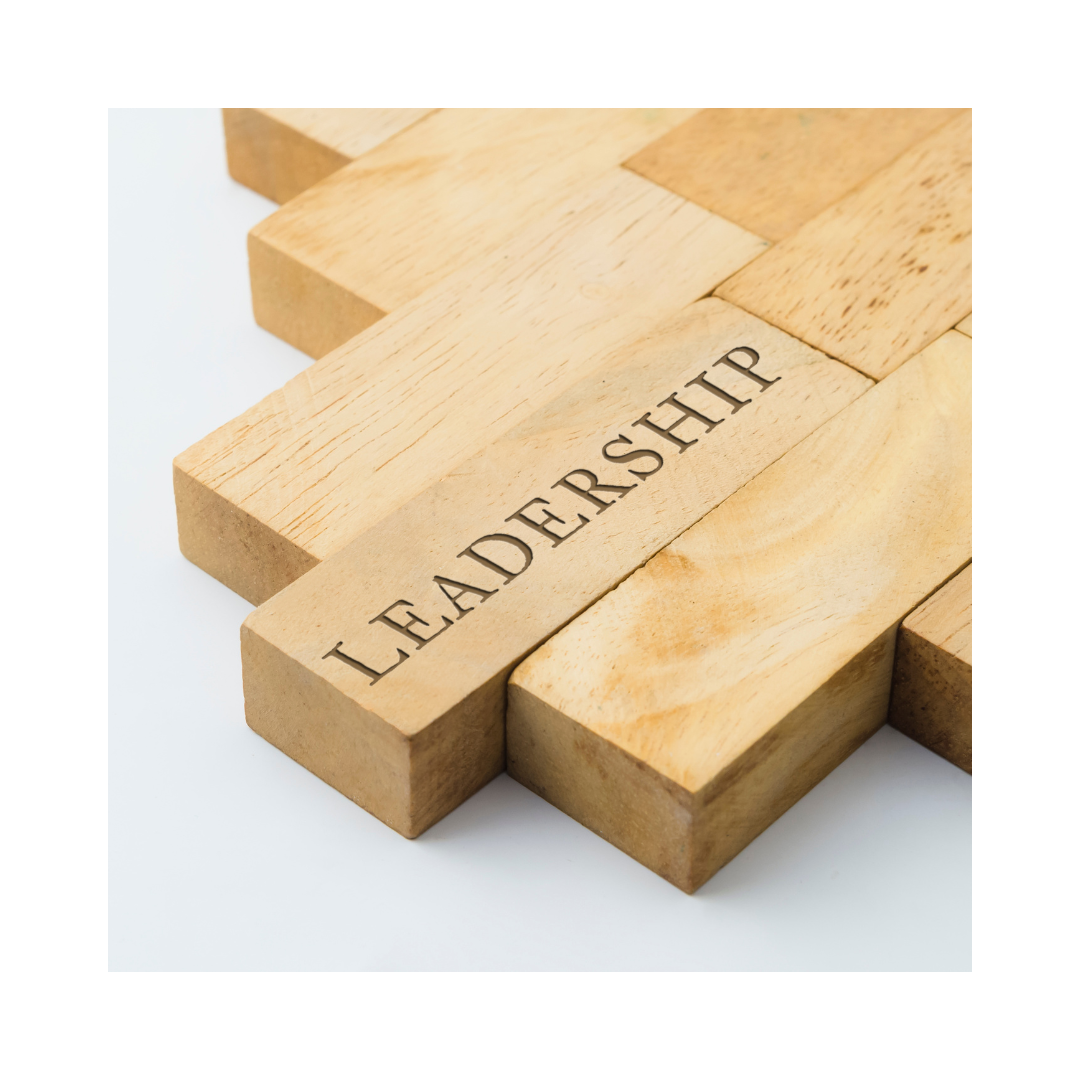 Why Your Leadership Training Isn't Working: The Emotional Capacity Gap No One's Measuring