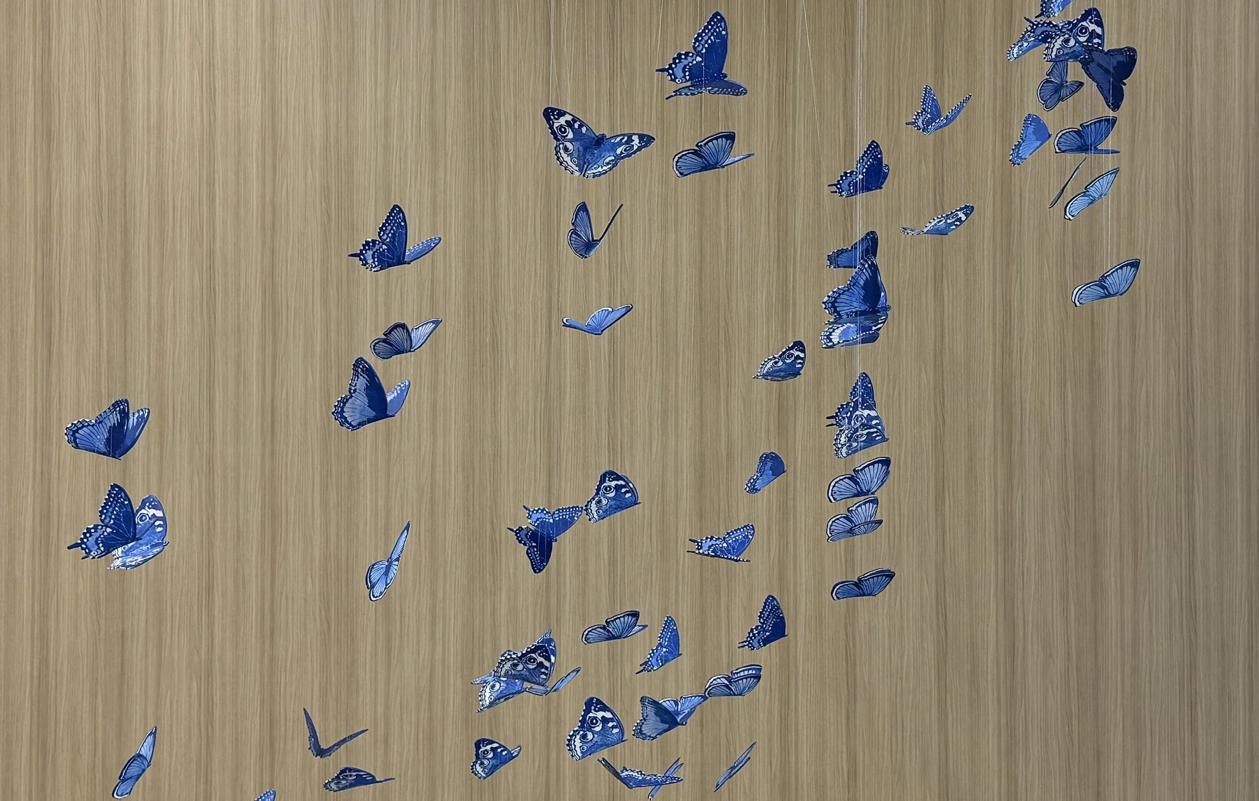 Kaleidoscope for Anna, 2025
Screen printed porcelain, underglazes, stainless steel wire, and aluminum
Dimensions of overall installation: (w, d, h) 16’ x 5’ x 23’ at the City of Anna Public library, Anna, TX
