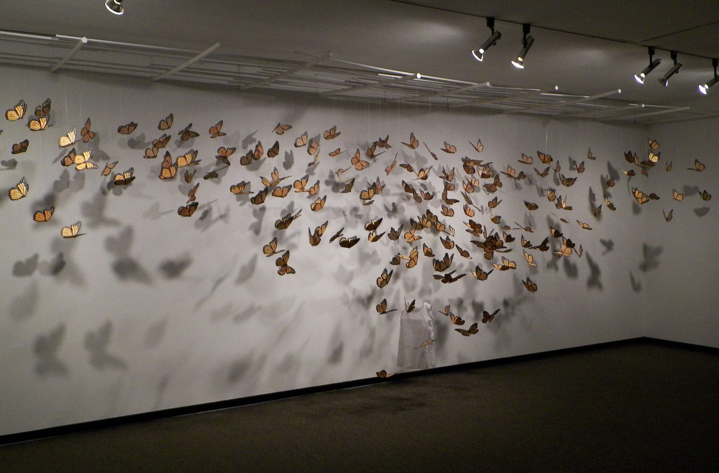Passage of Memory II, 2013
Screen printed porcelain, wood, monofiliament
Dimensions of overall installation: (w, d, h) 18’ x 6’ x 12’ at the Fort Worth Community Art Center